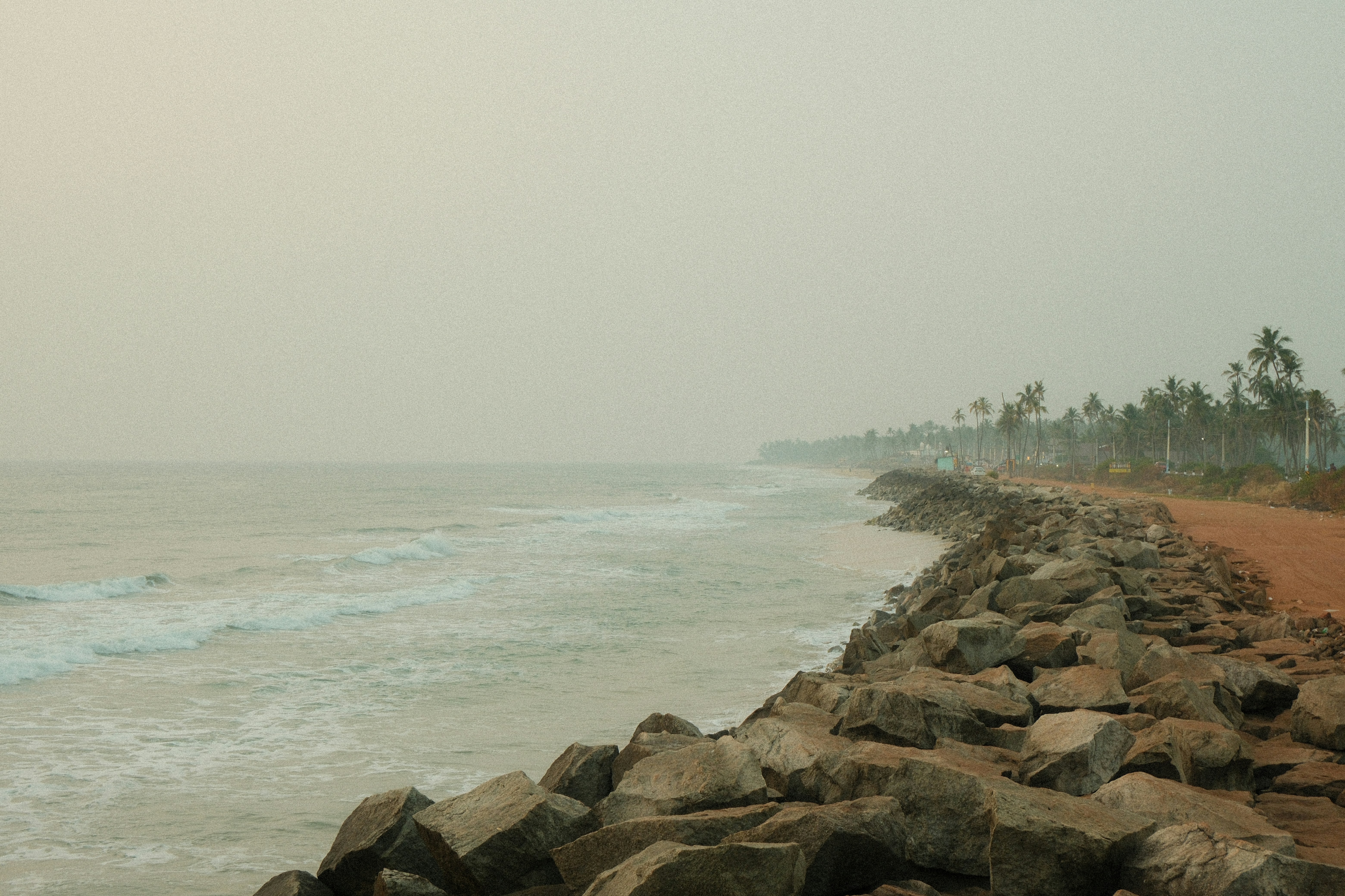 Rocky coastline with palm trees and ocean waves