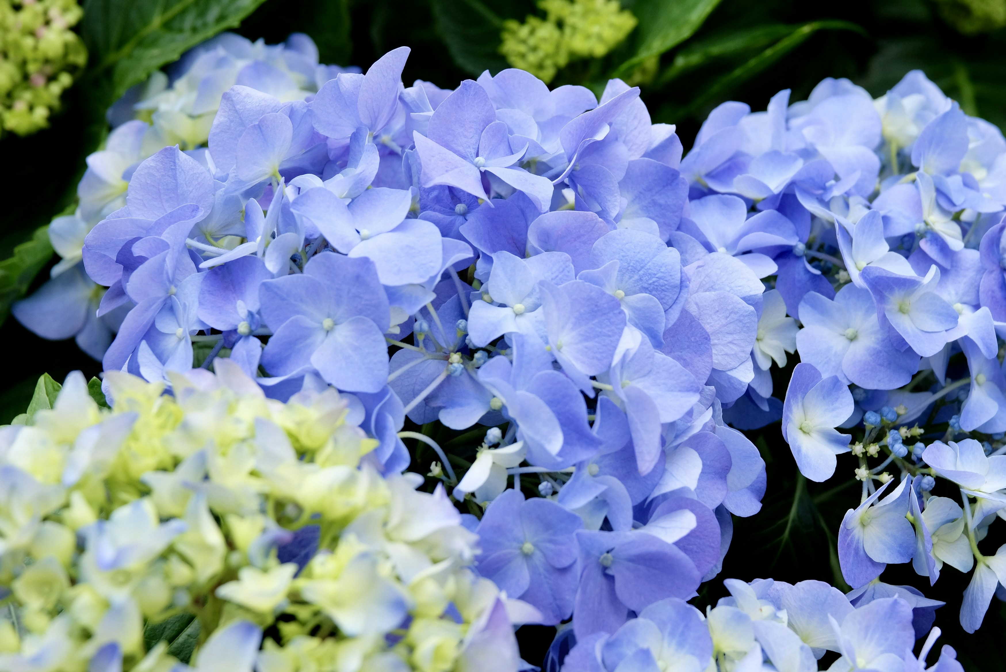 Photo by carmen18forever