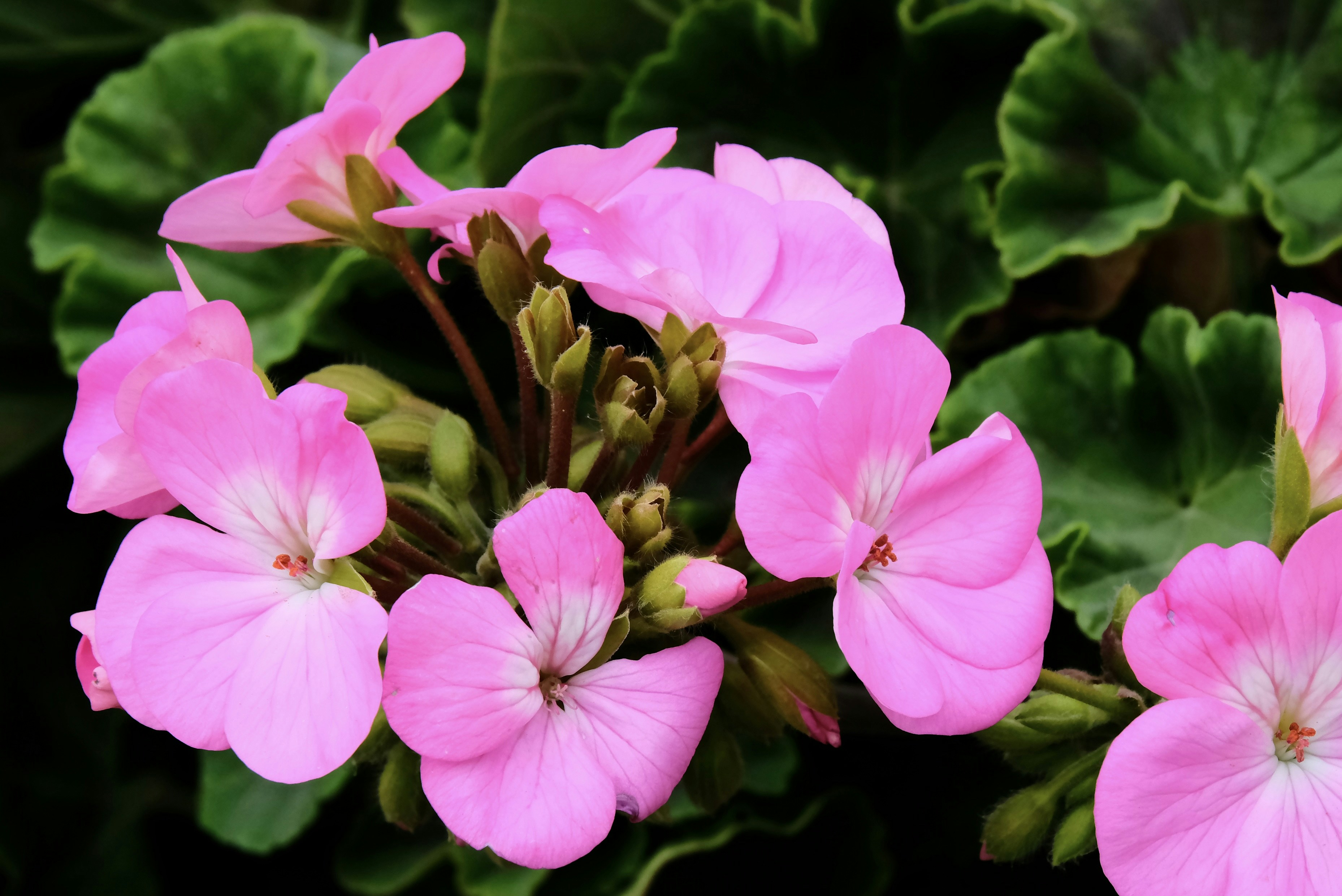 Photo by carmen18forever