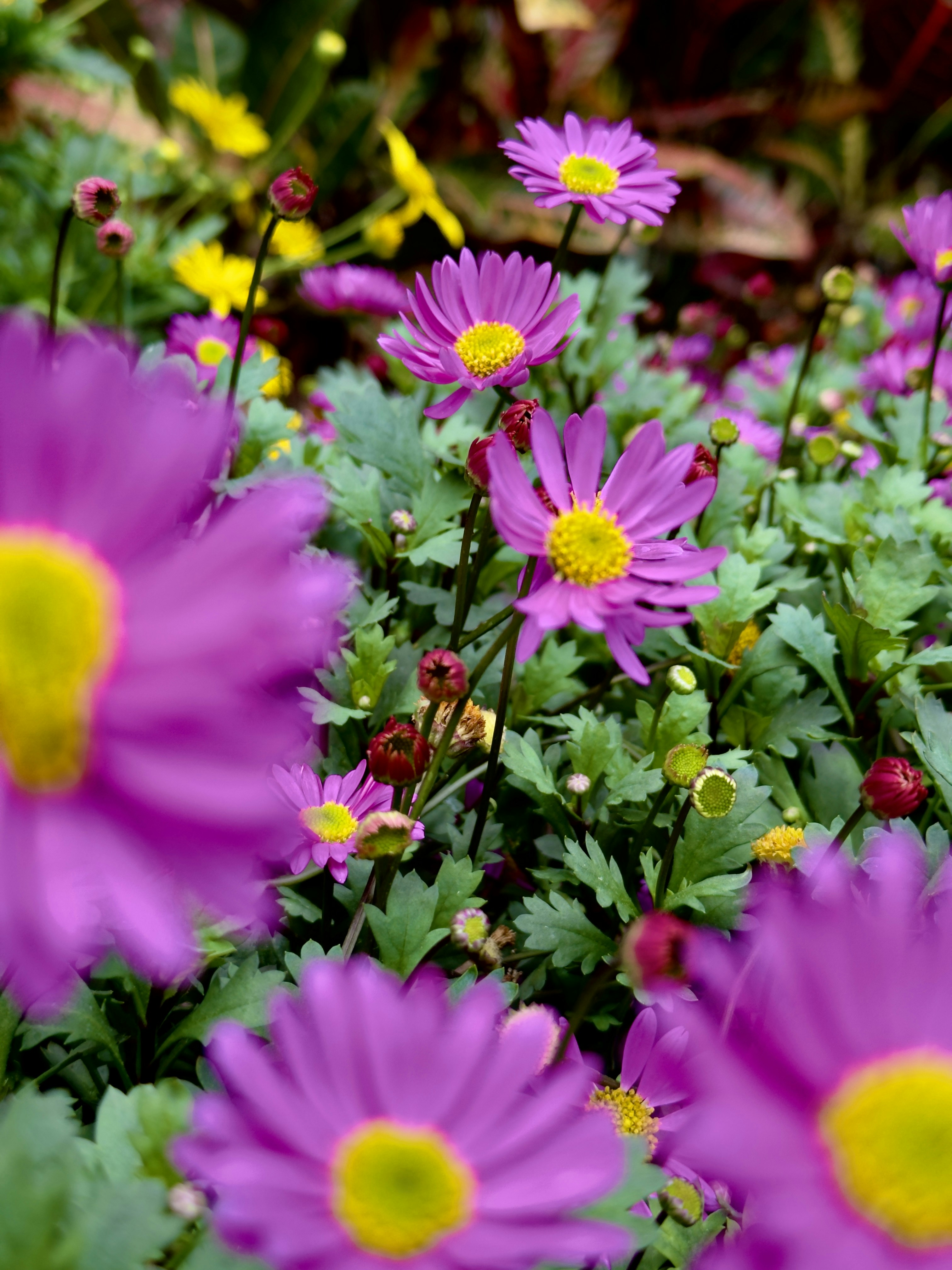 Photo by carmen18forever