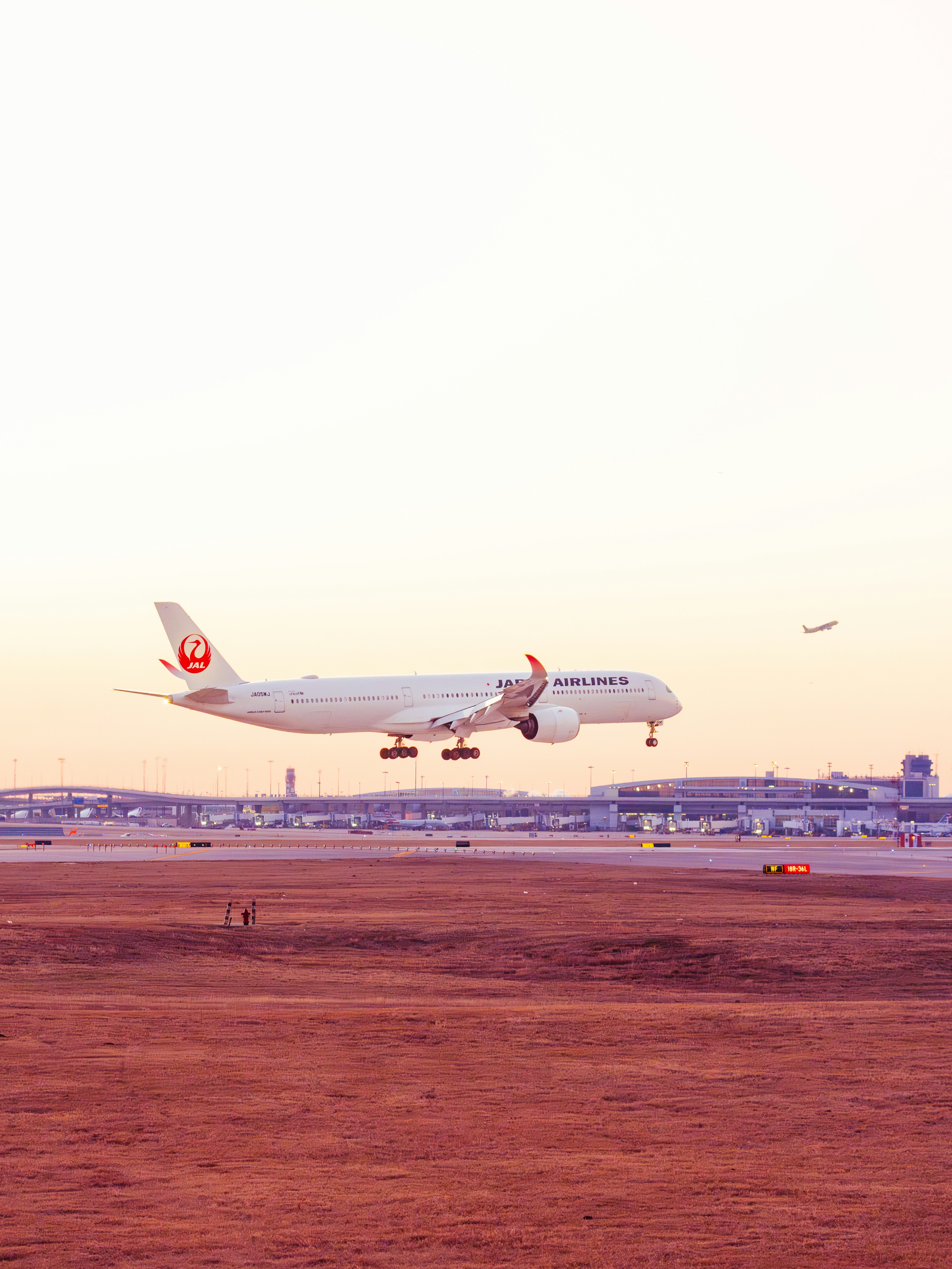 Japan Airlines Airbus A350-1000 Landing on Runway 18L during the morning sunrise. Reg. JA05WJ