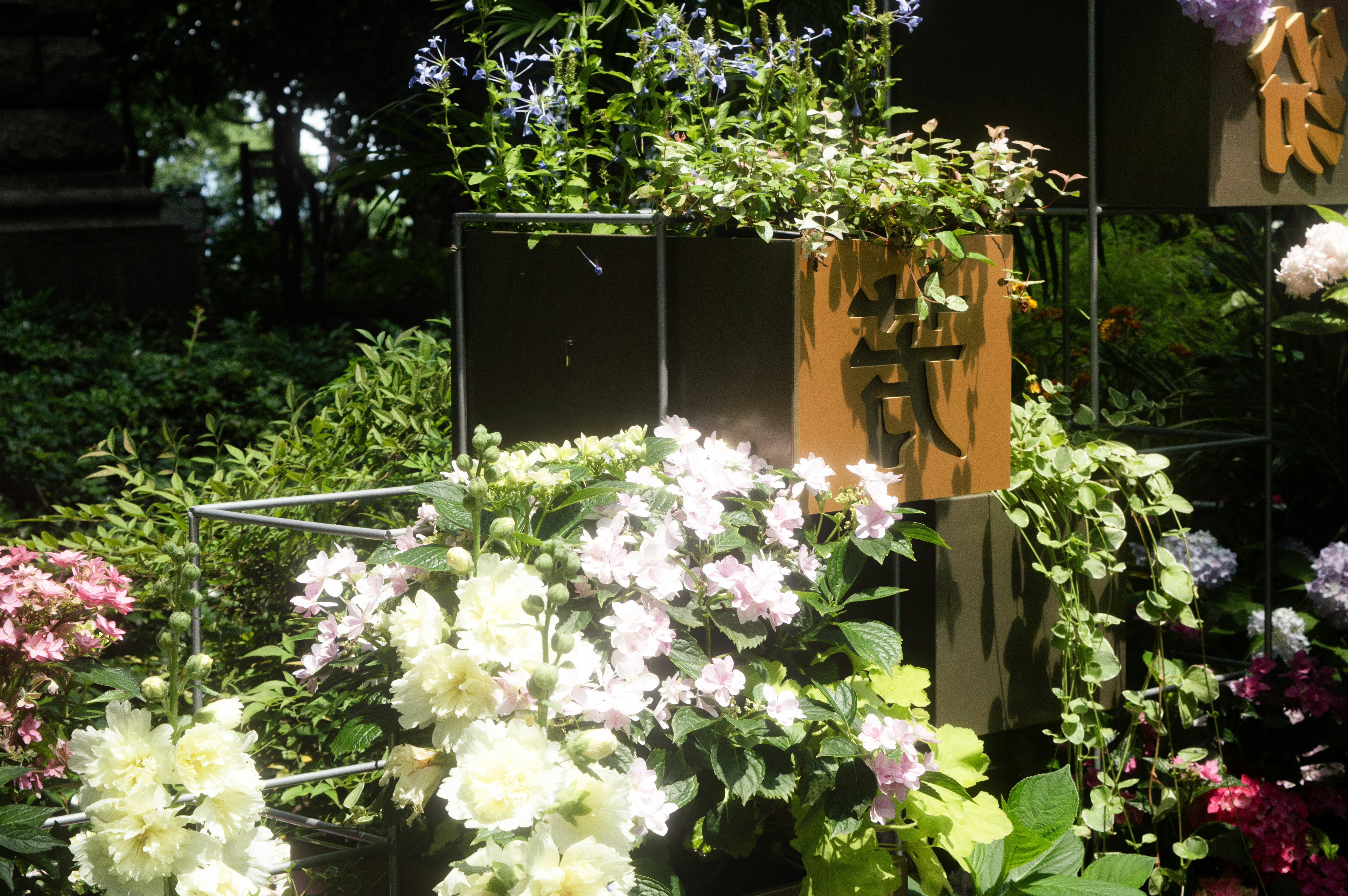 Photo by xiakuangkuang