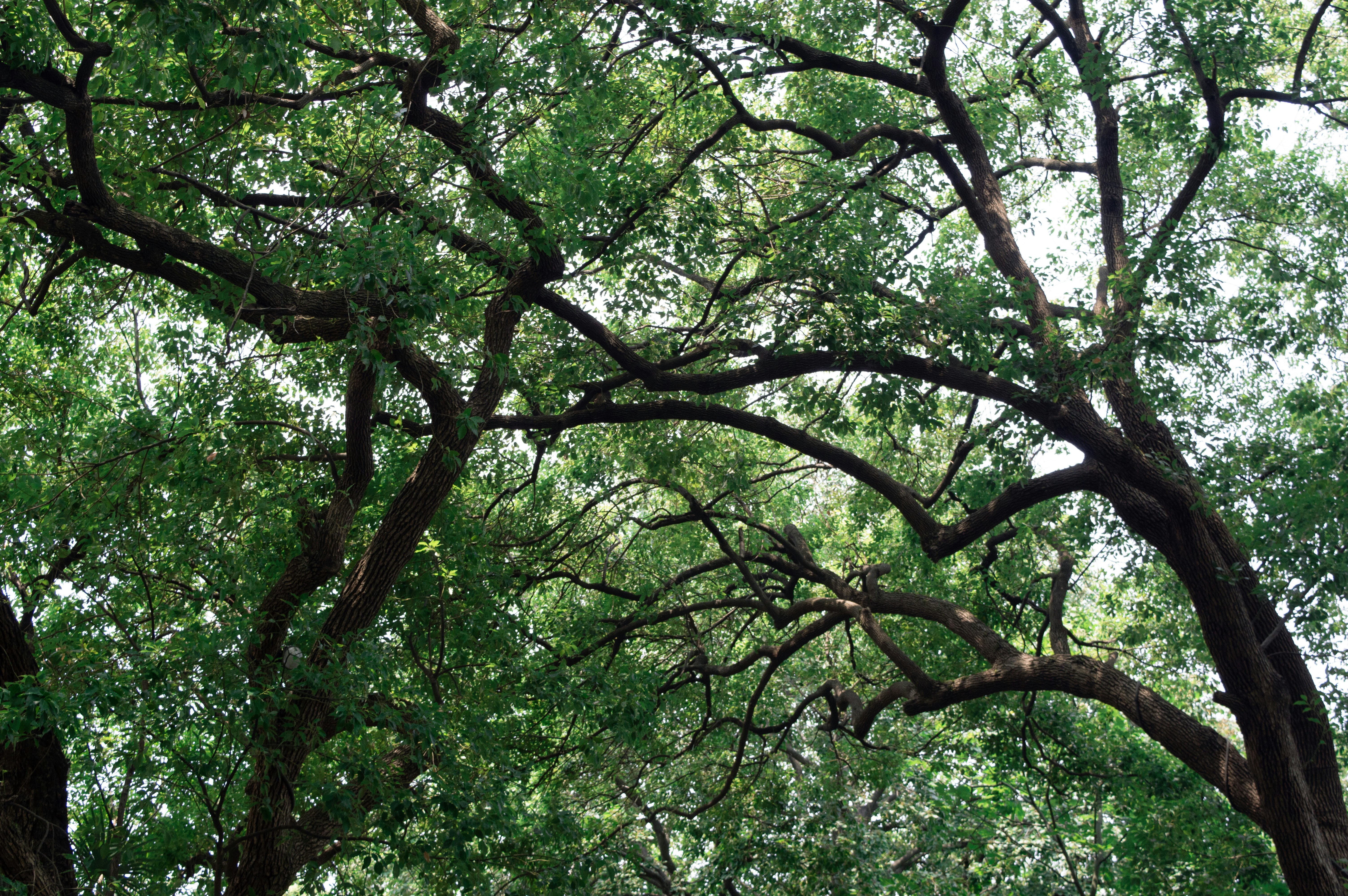 Photo by xiakuangkuang