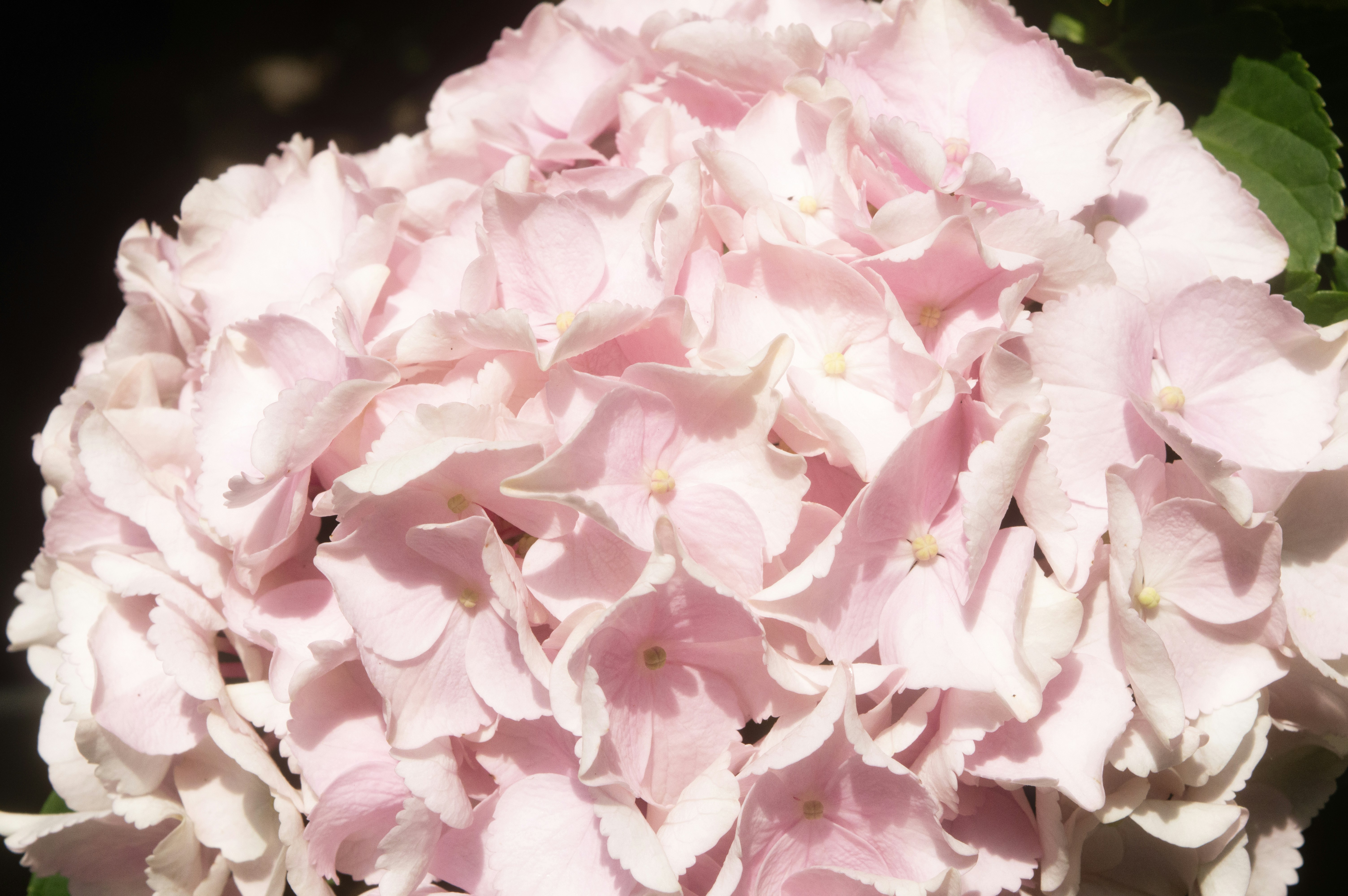 Photo by xiakuangkuang