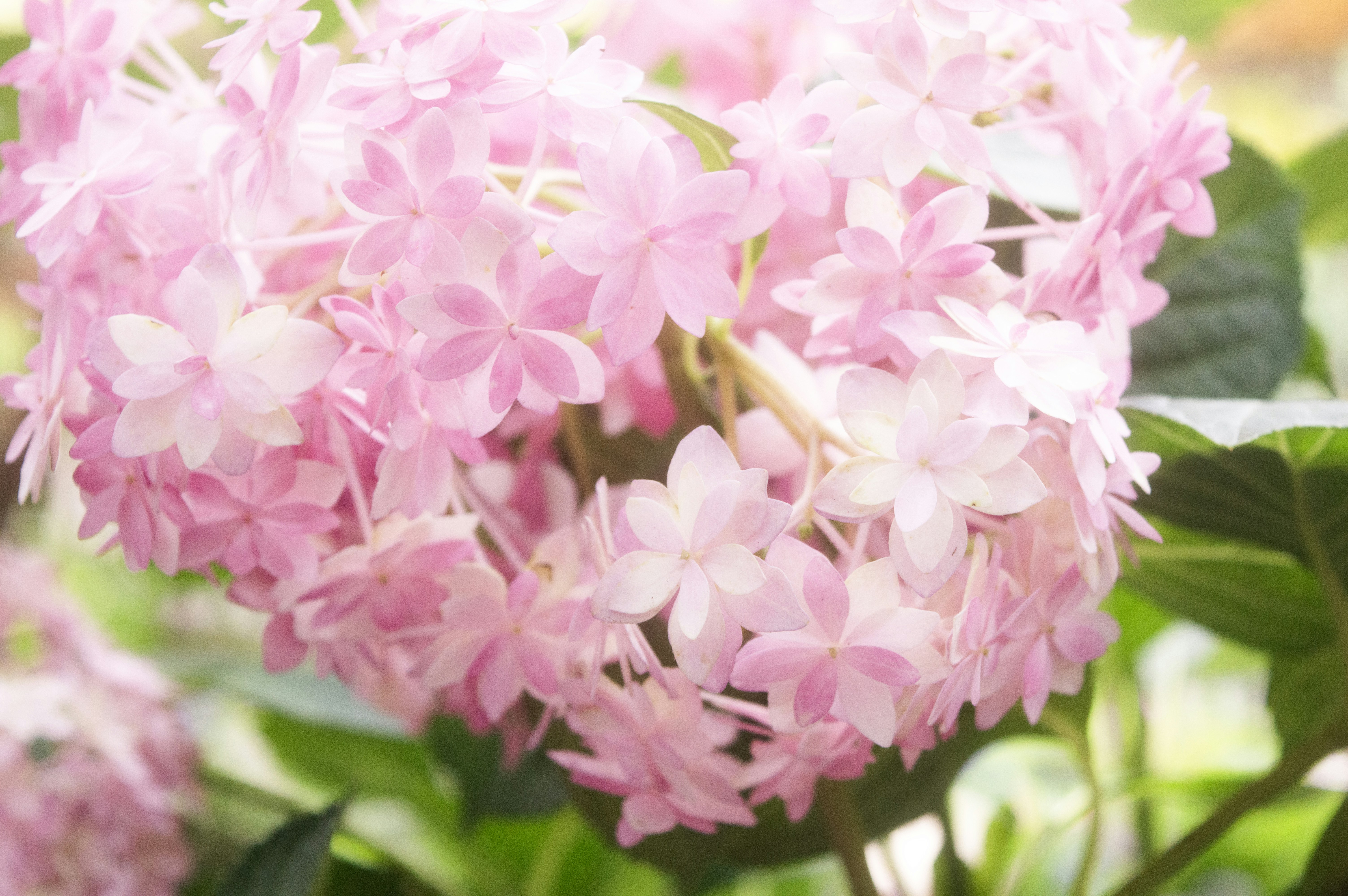 Photo by xiakuangkuang