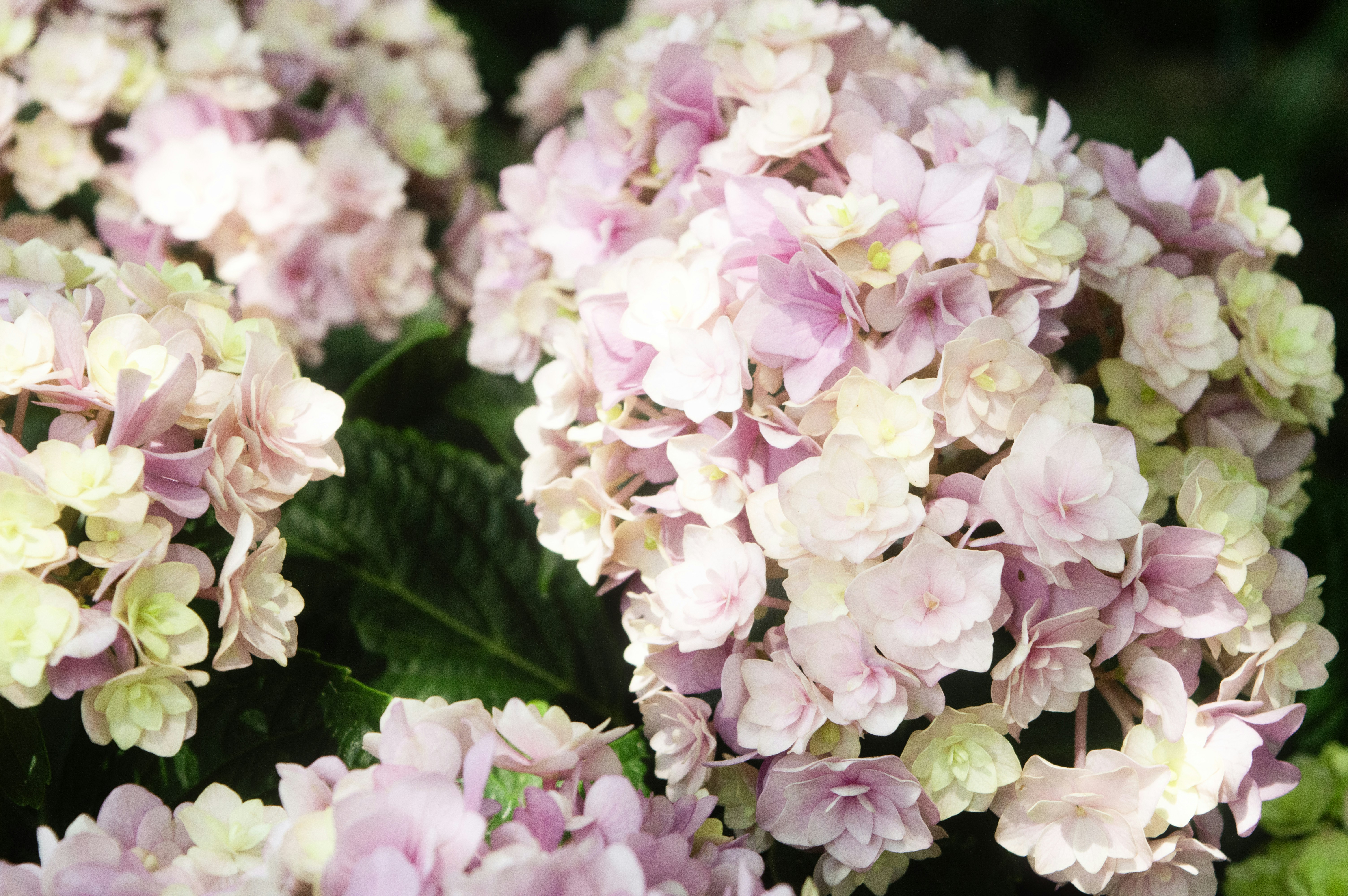 Photo by xiakuangkuang