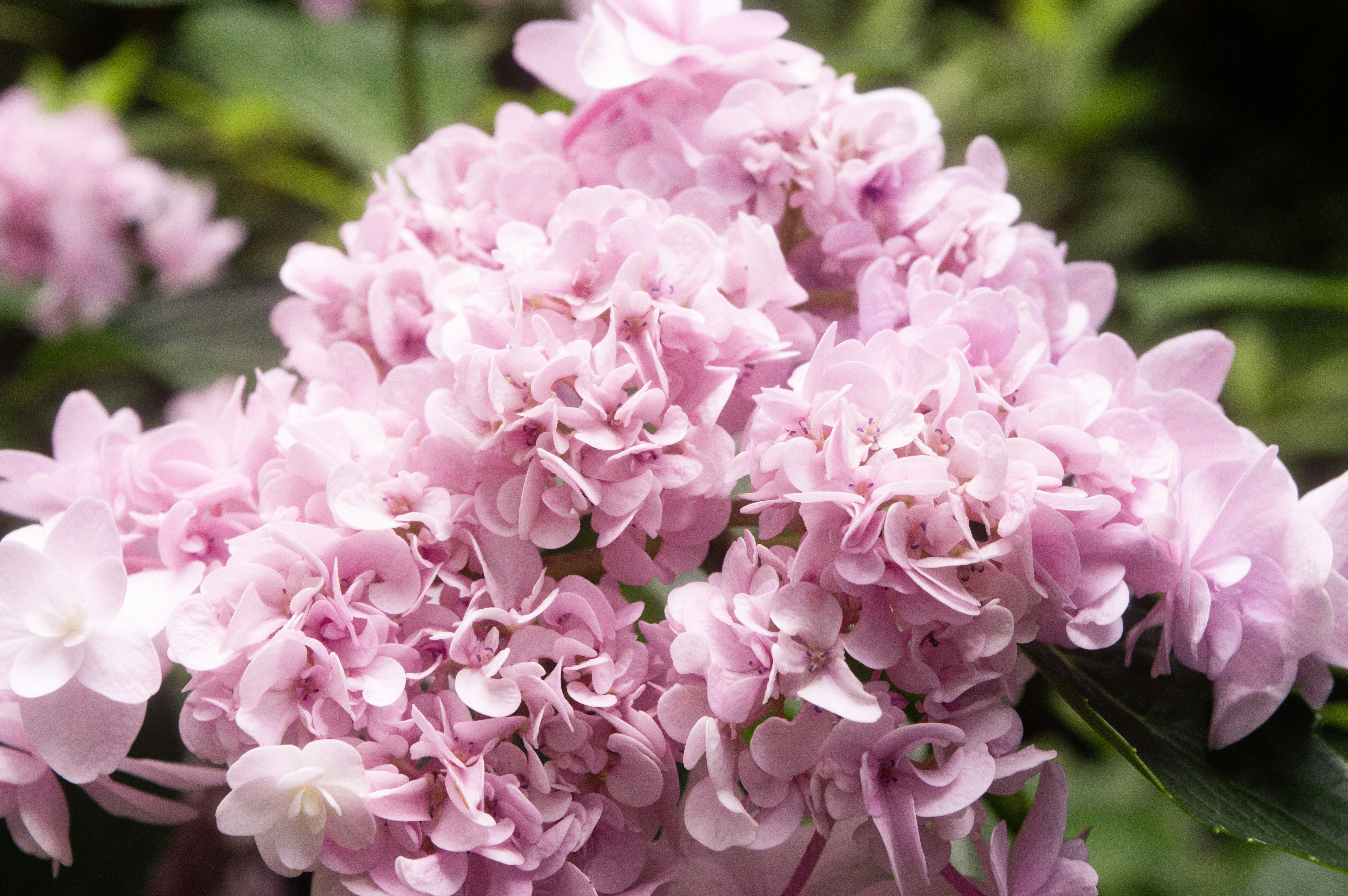 Photo by xiakuangkuang