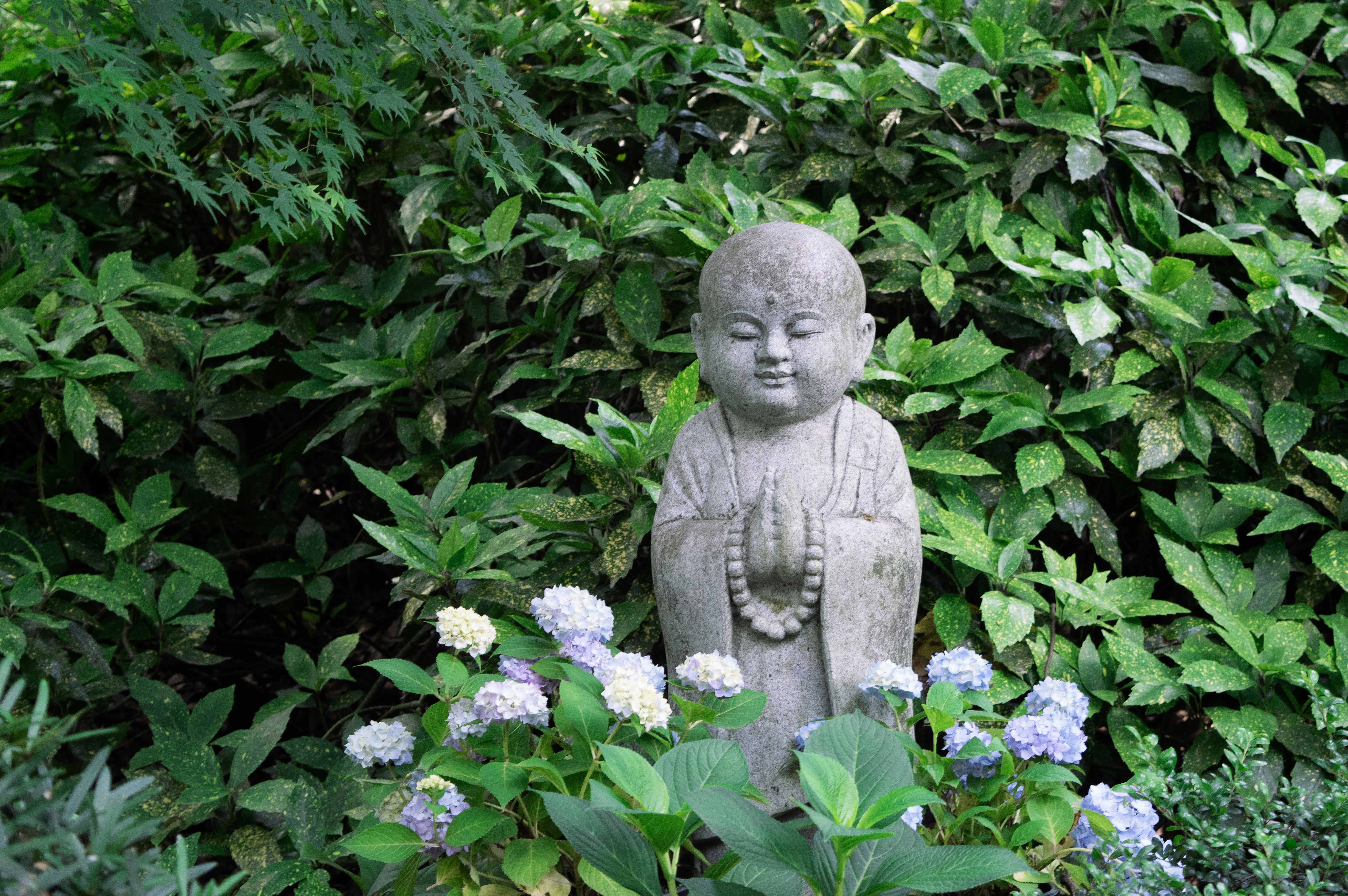 Photo by xiakuangkuang