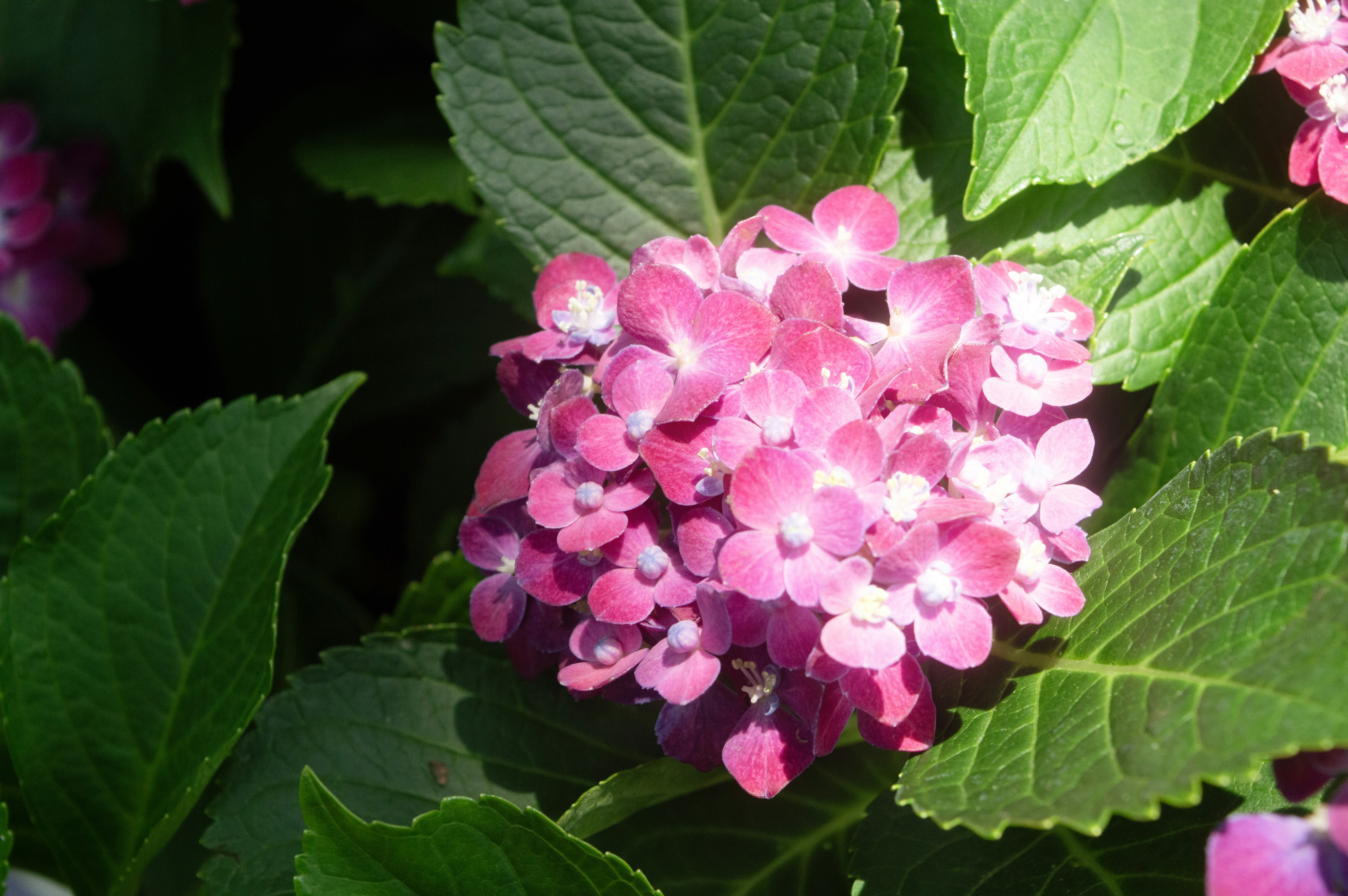 Photo by xiakuangkuang