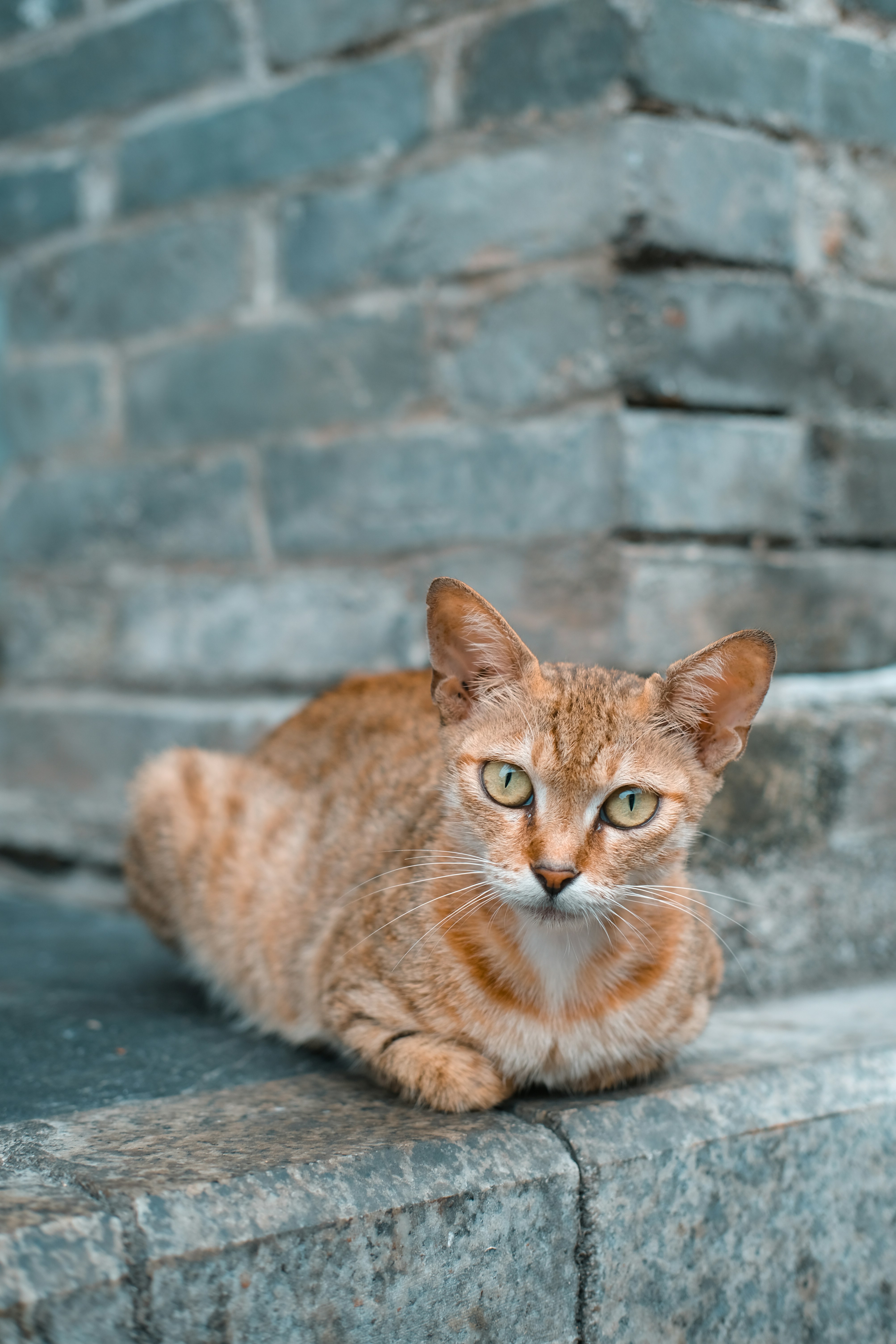 Photo by yukophotography