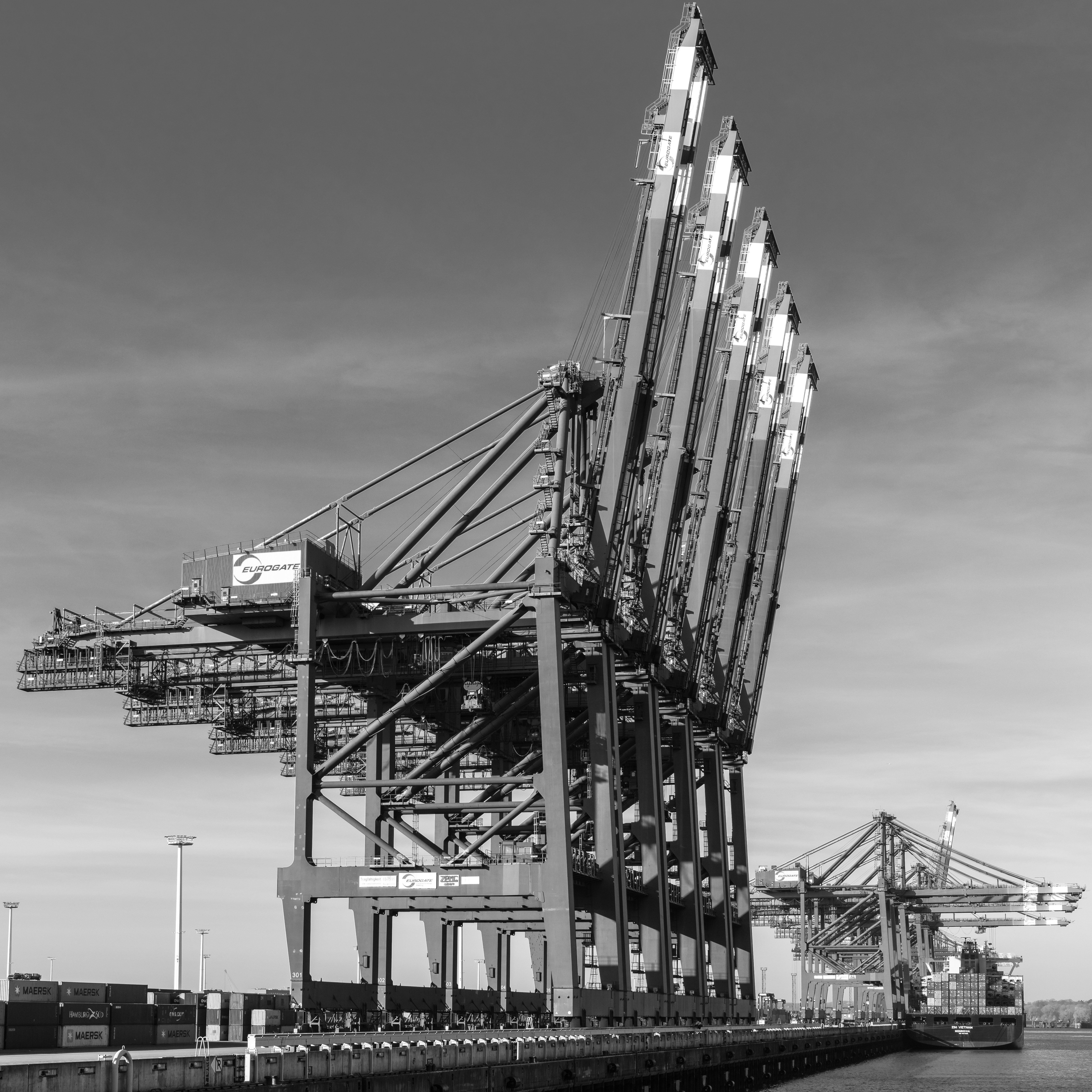 Photo by hamburgmeinefreundin