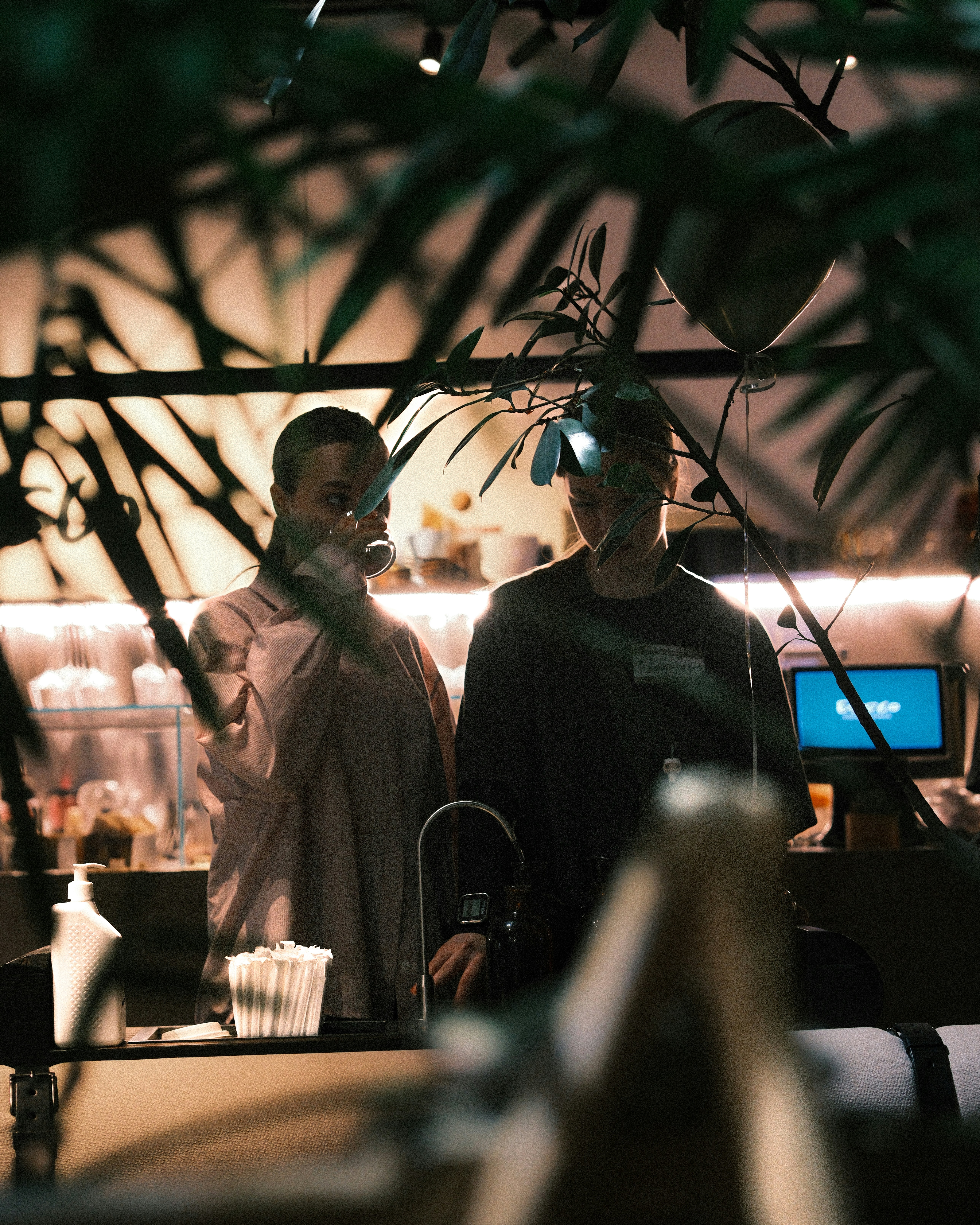 Two people behind a bar with plants in foreground