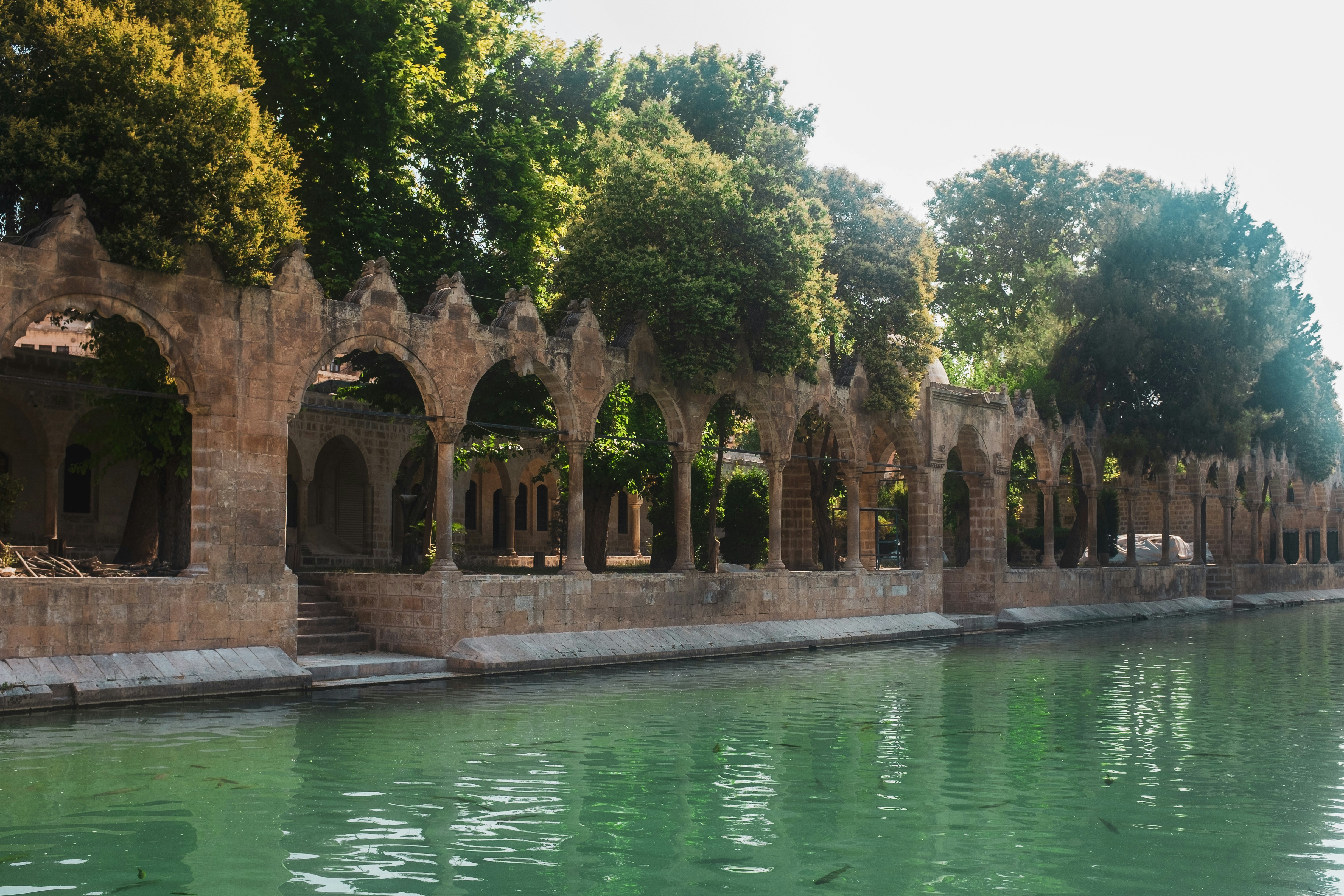 Photo by oldsoulframes