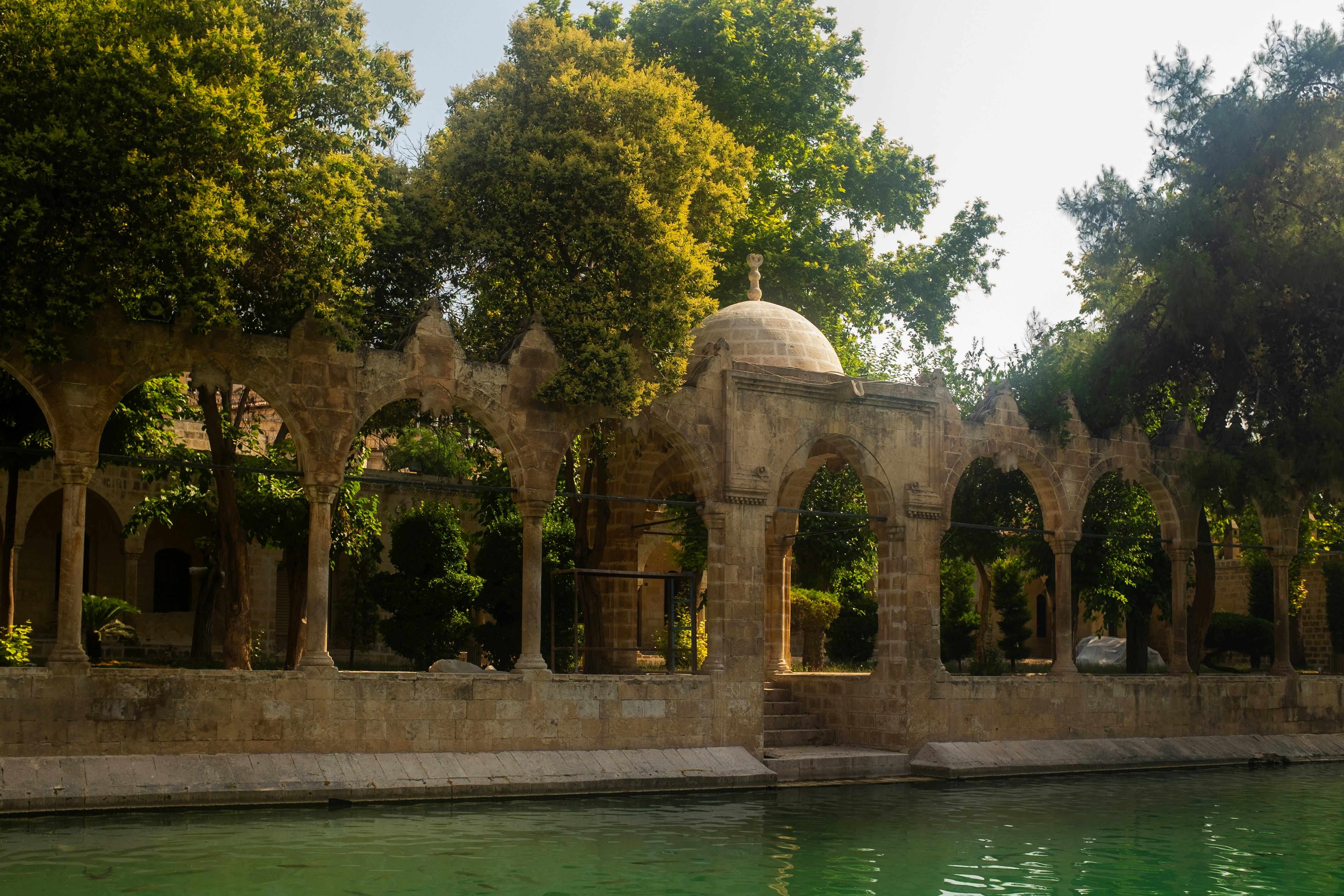 Photo by oldsoulframes