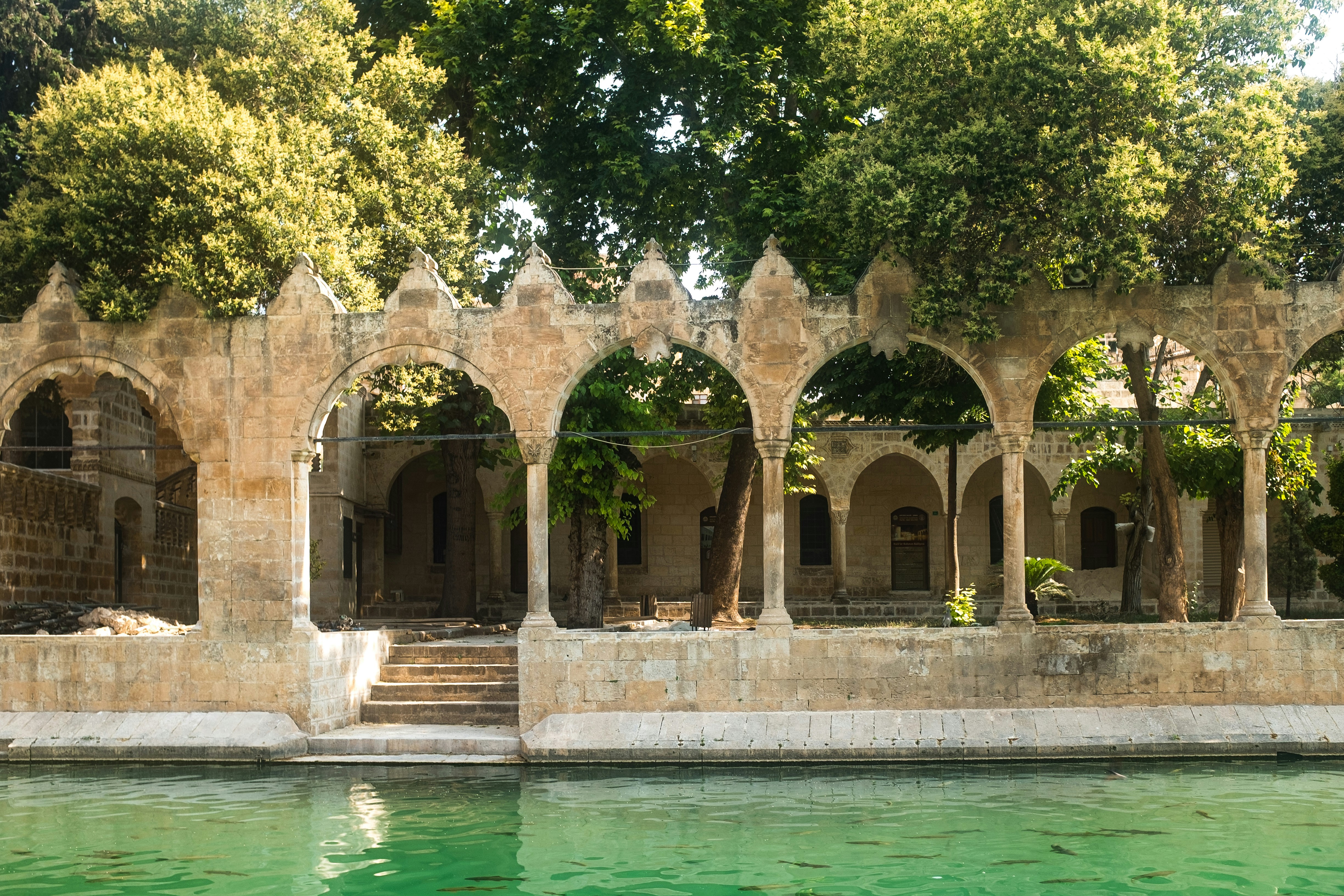 Photo by oldsoulframes