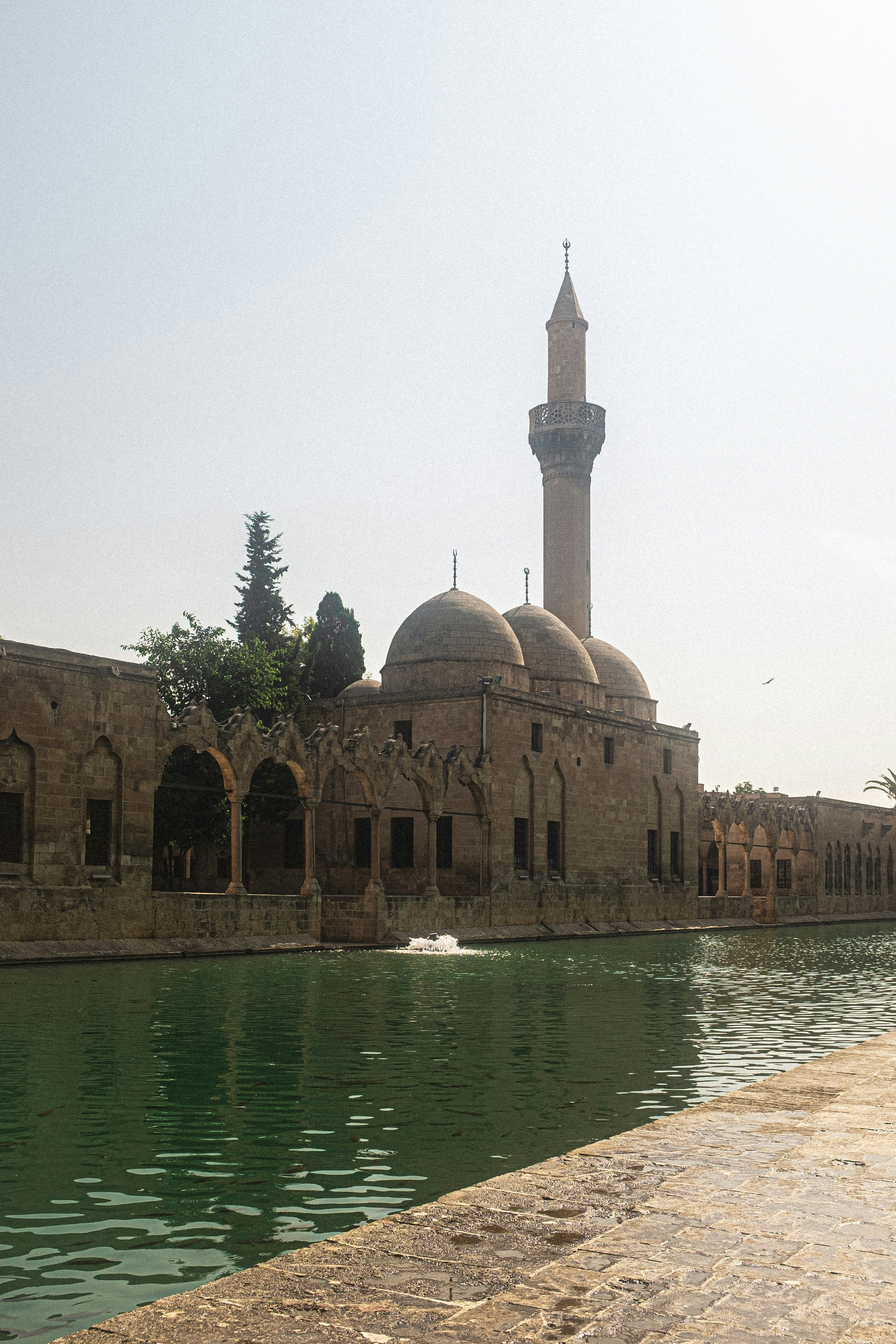 Photo by oldsoulframes