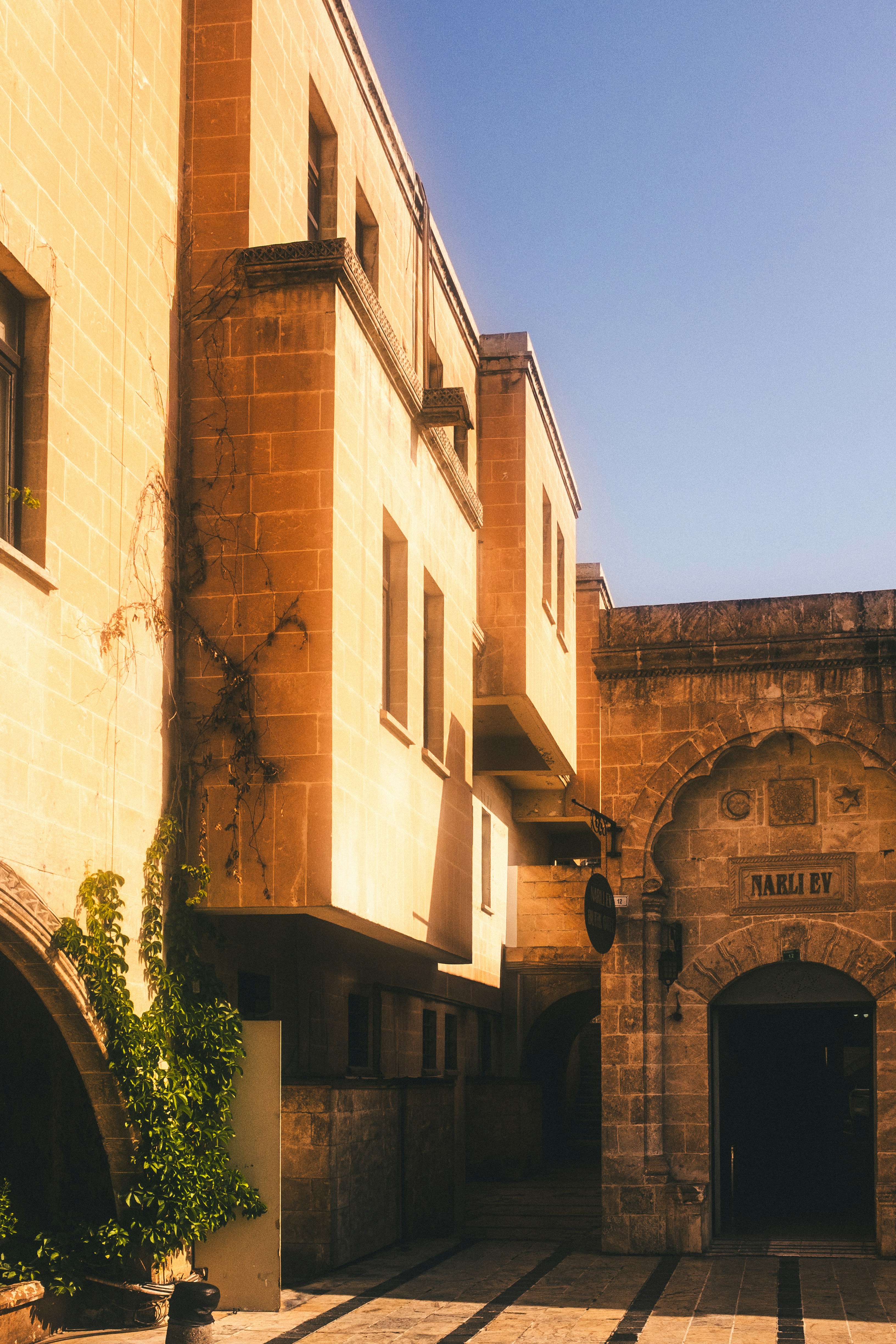 Photo by oldsoulframes