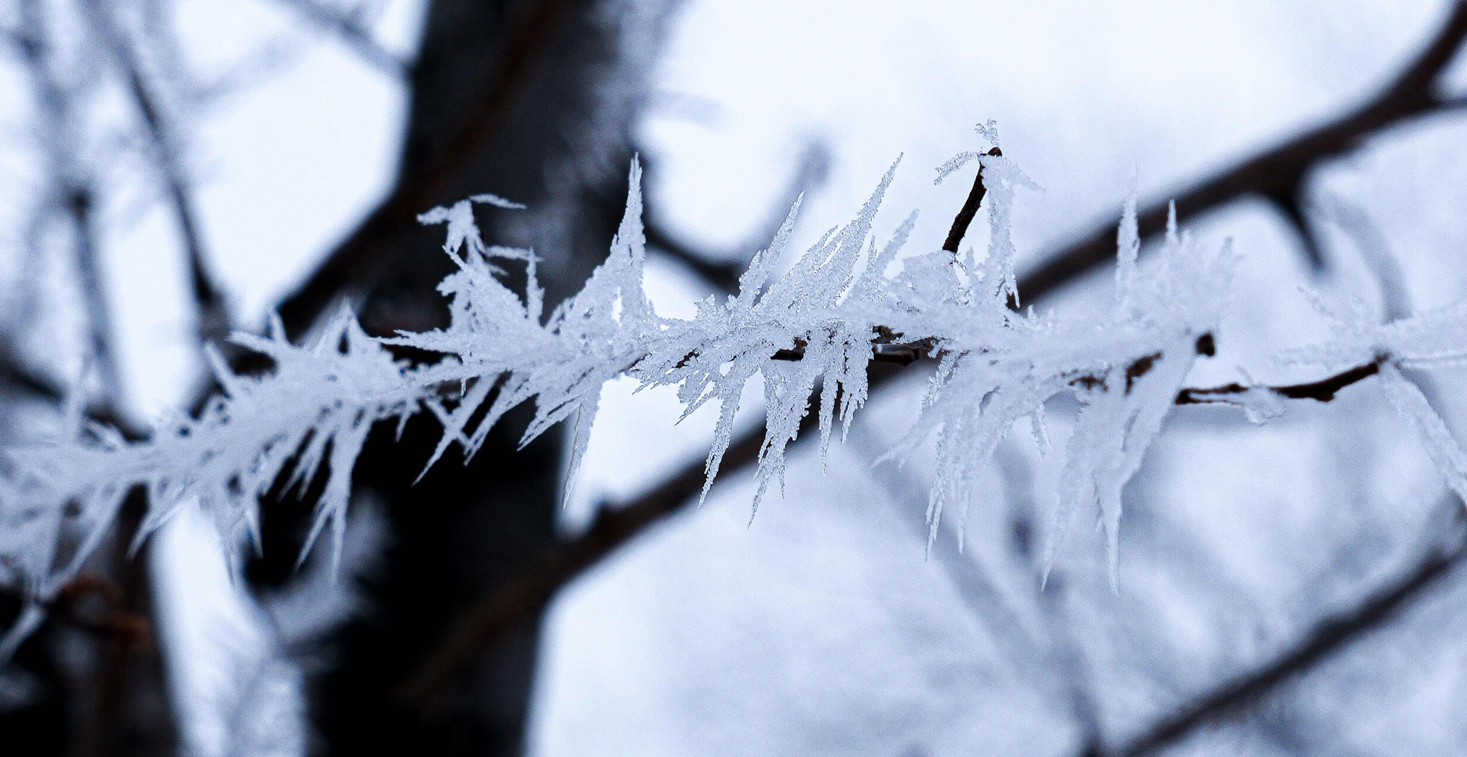 Photo by jack5parrow