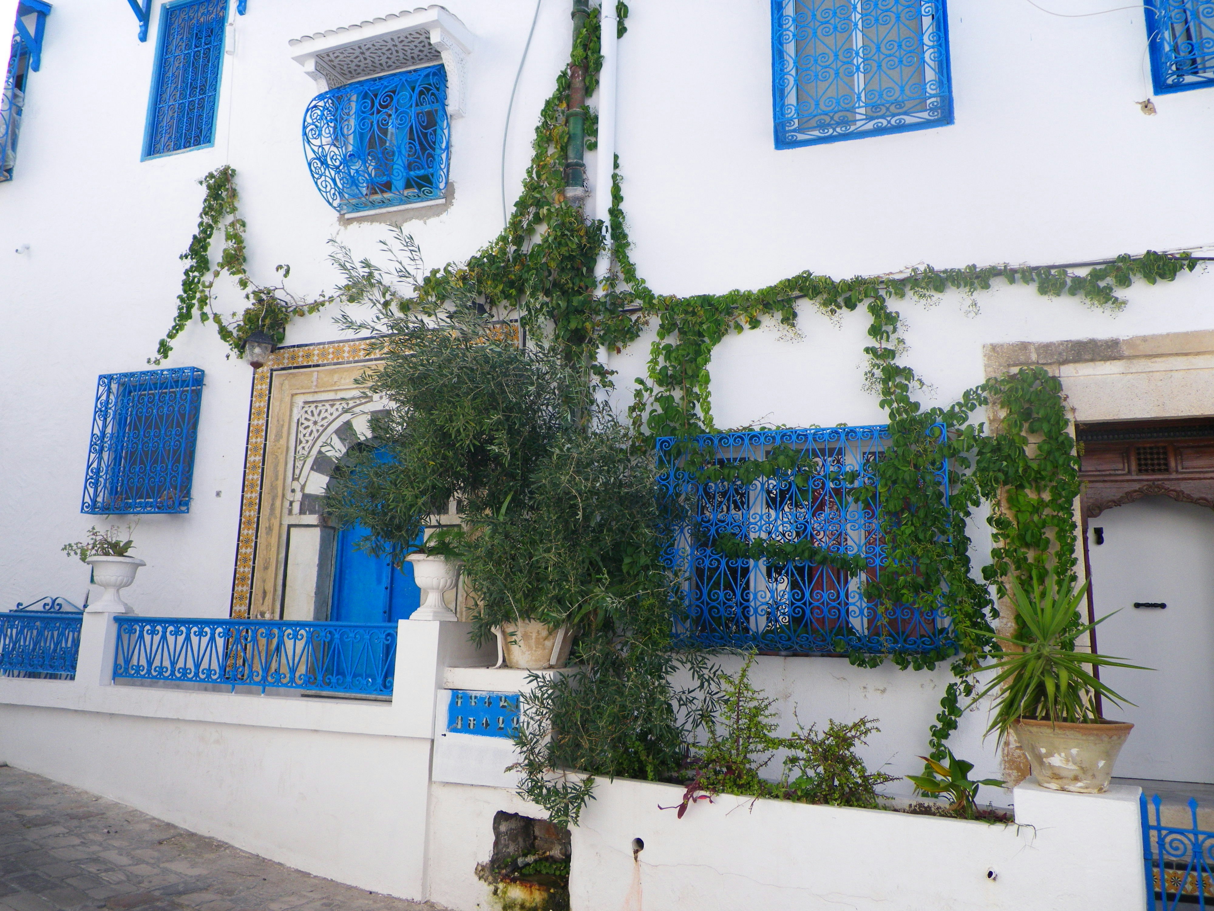 Photo by alexisribeyrecarnetdevoyage