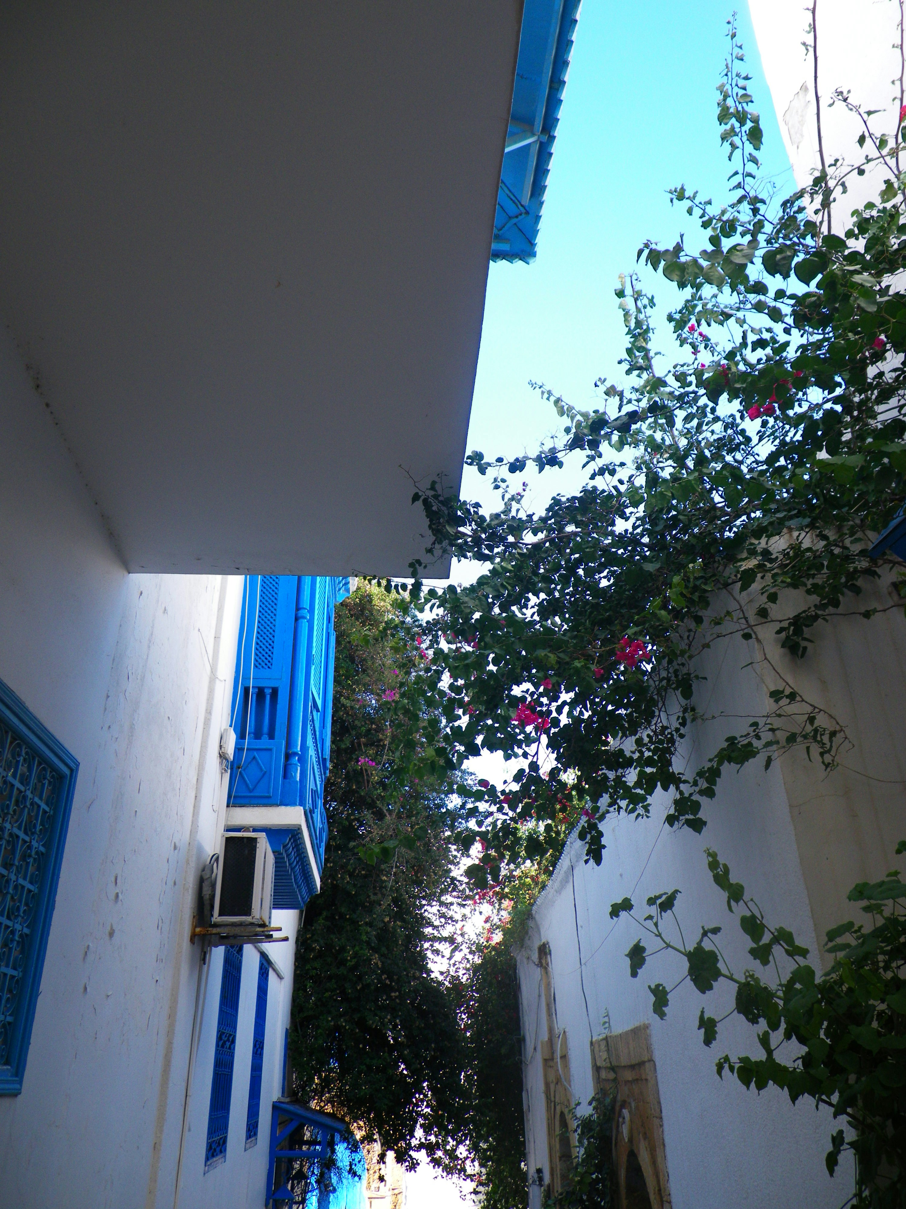 Photo by alexisribeyrecarnetdevoyage