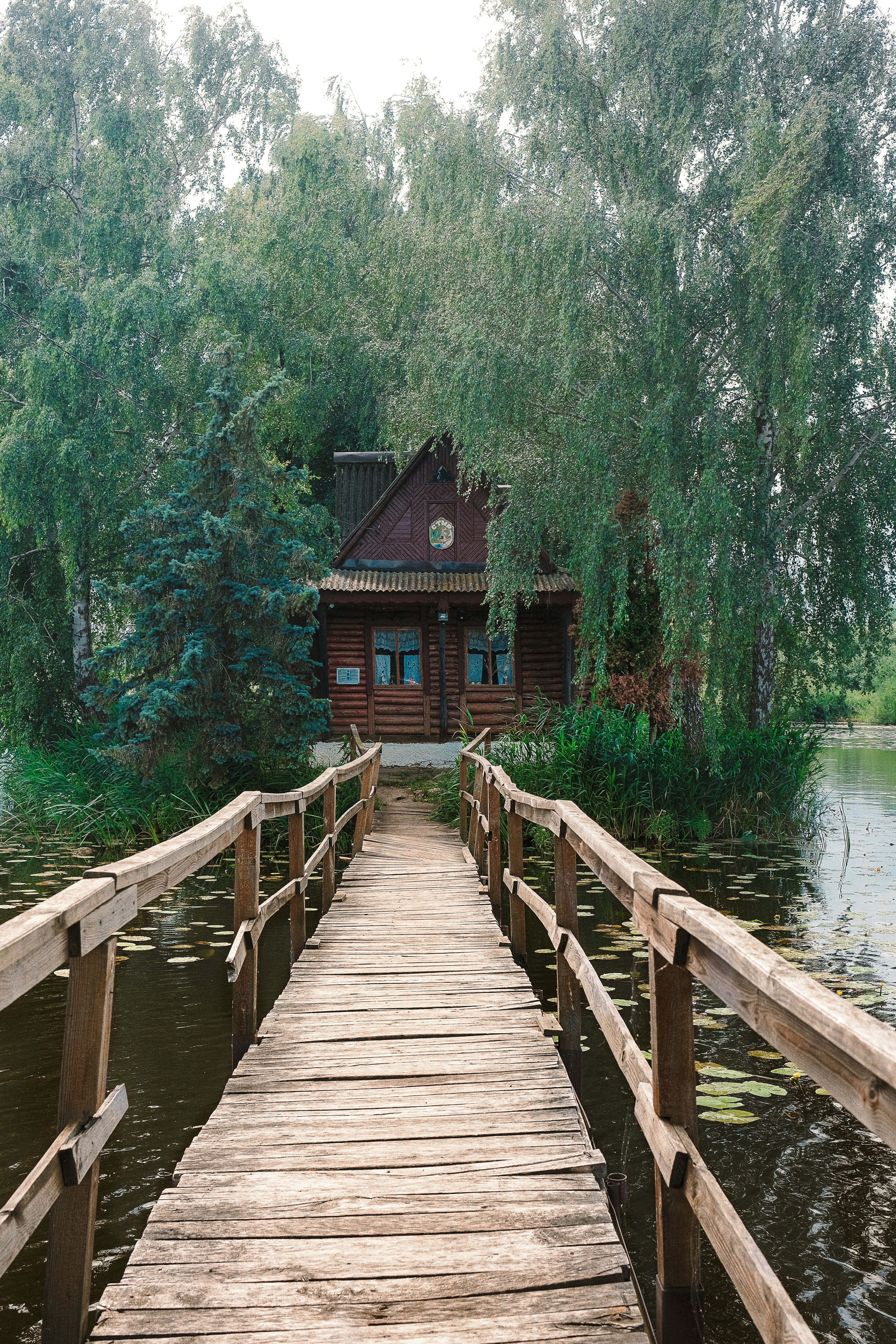 Un ponte di legno conduce a una piccola capanna circondata da alberi.