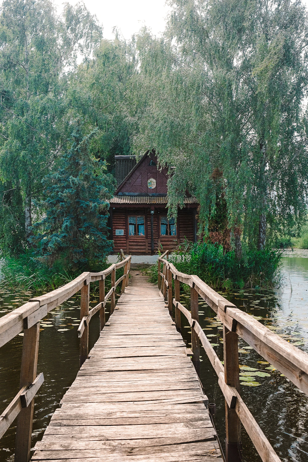 Wooden bridge leading to a small cabin in the trees