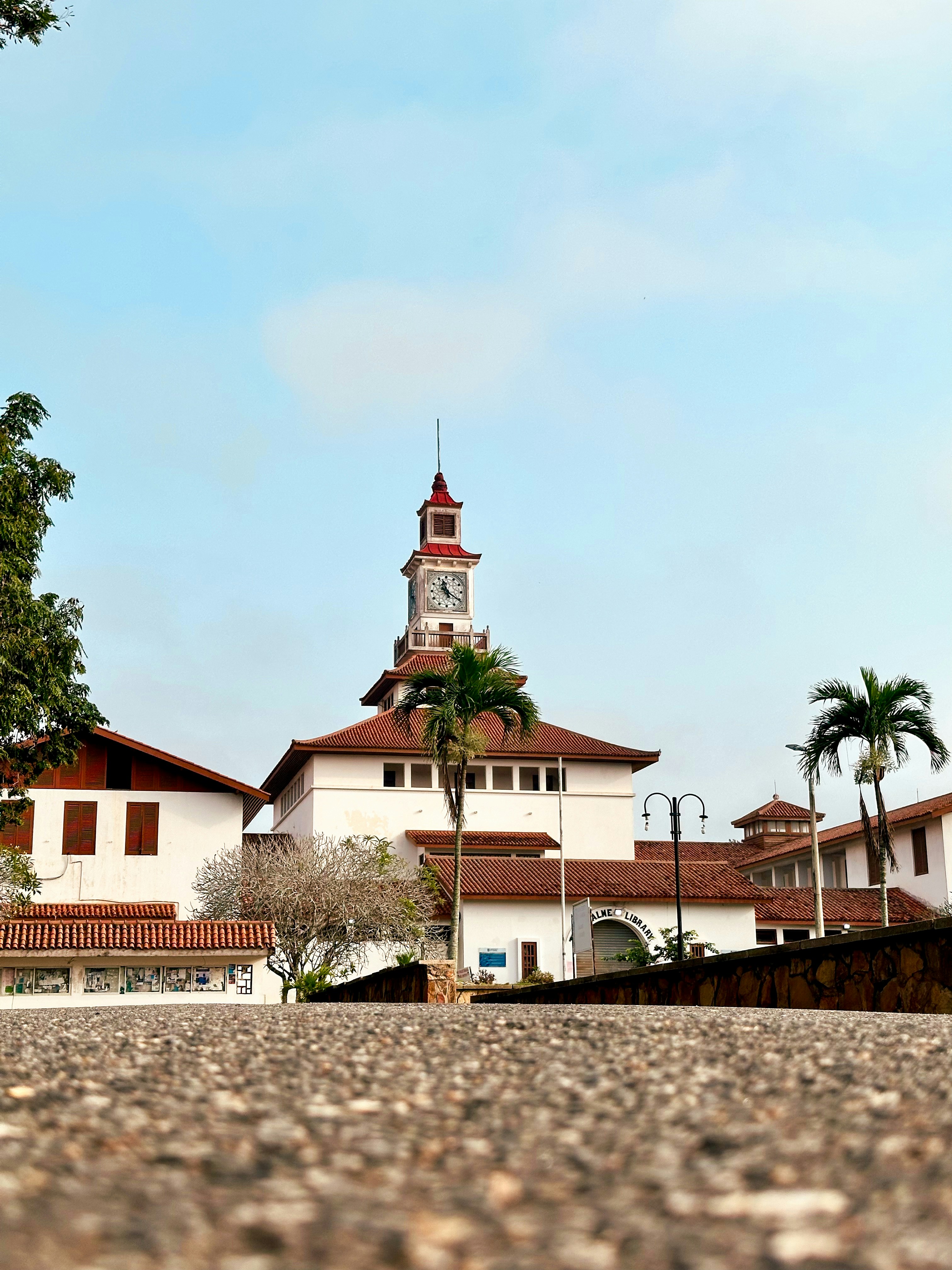 Un bâtiment avec une tour d’horloge et des palmiers.