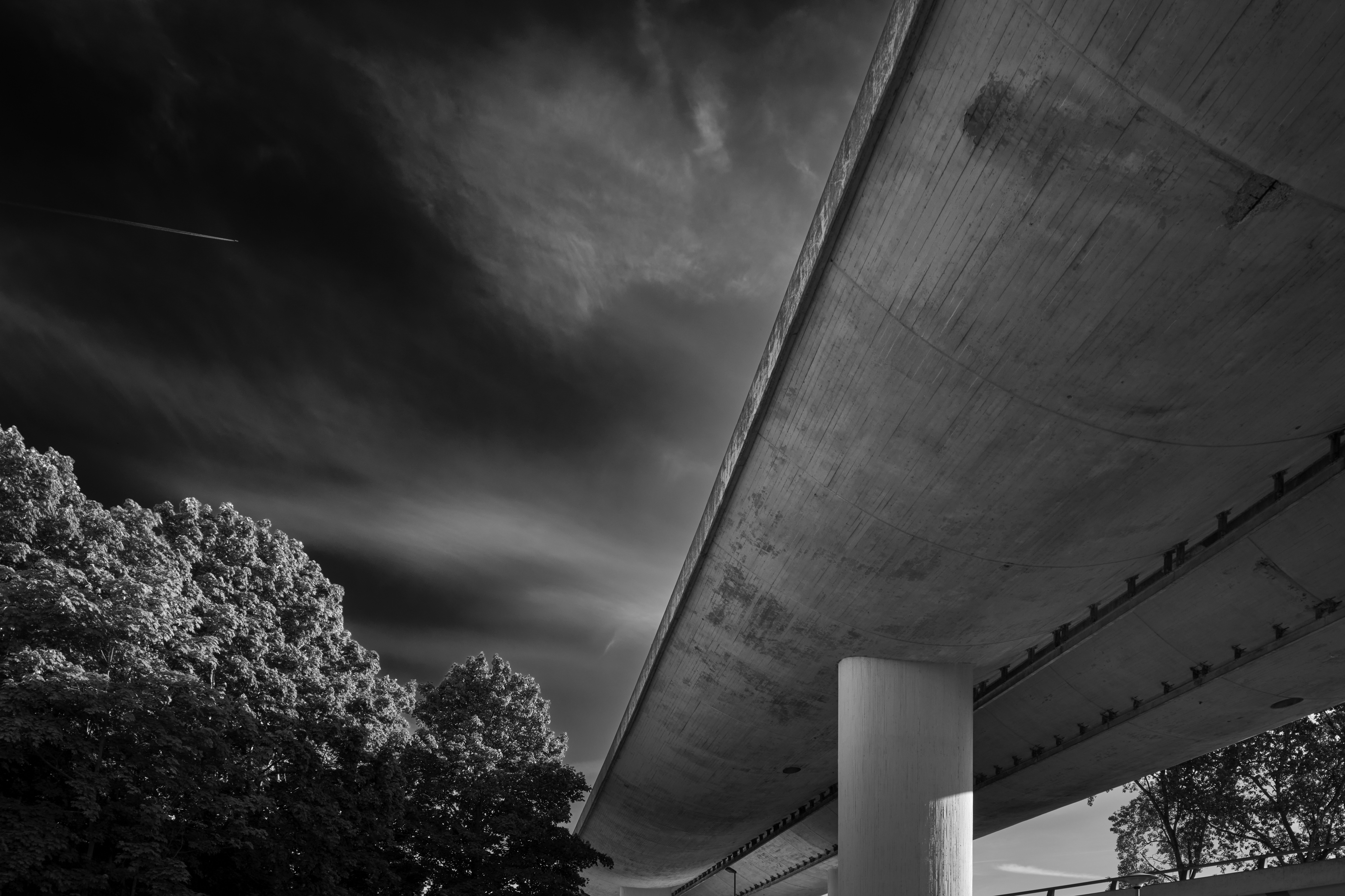 Underneath a concrete overpass with trees and sky