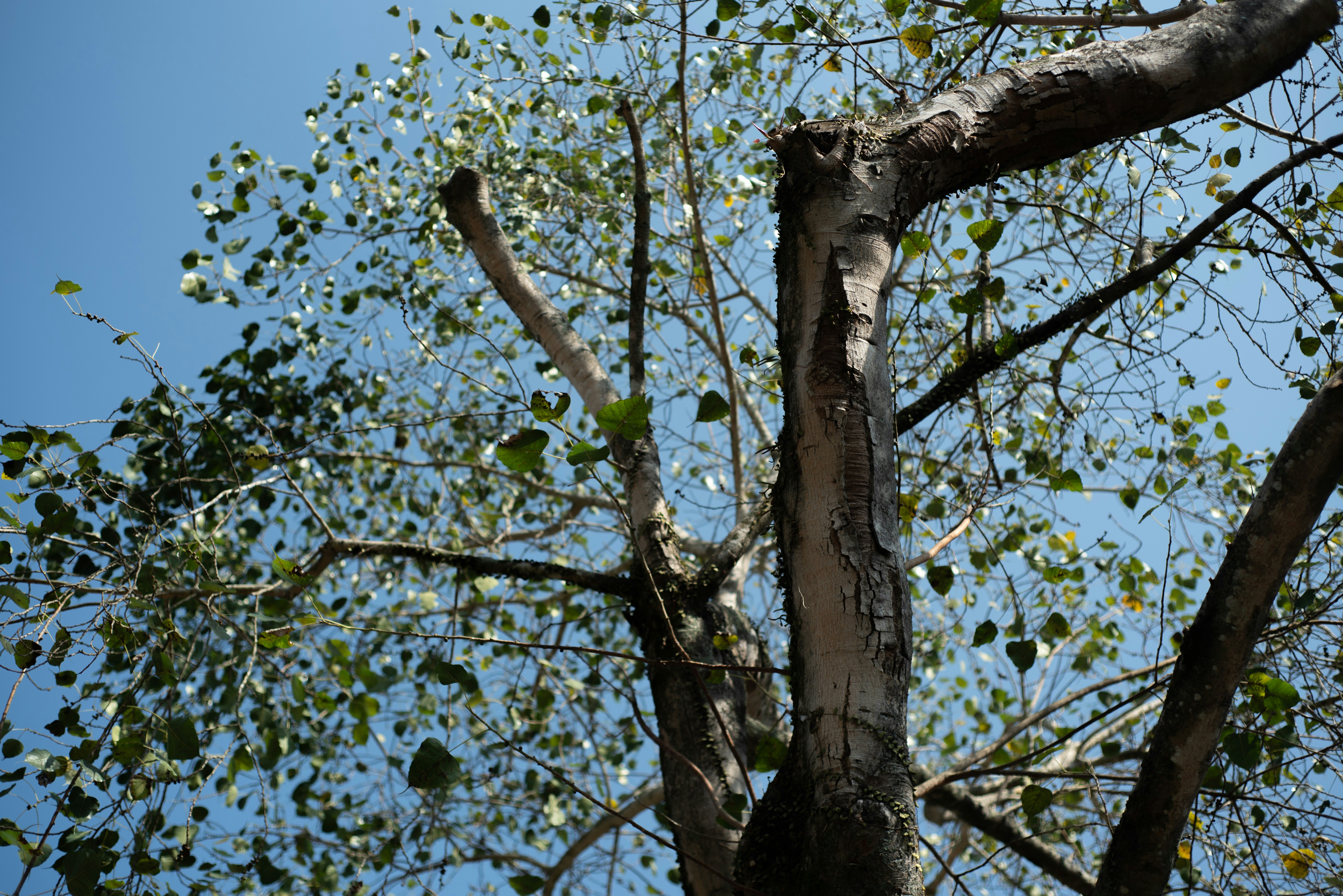 Photo by littlegabriel