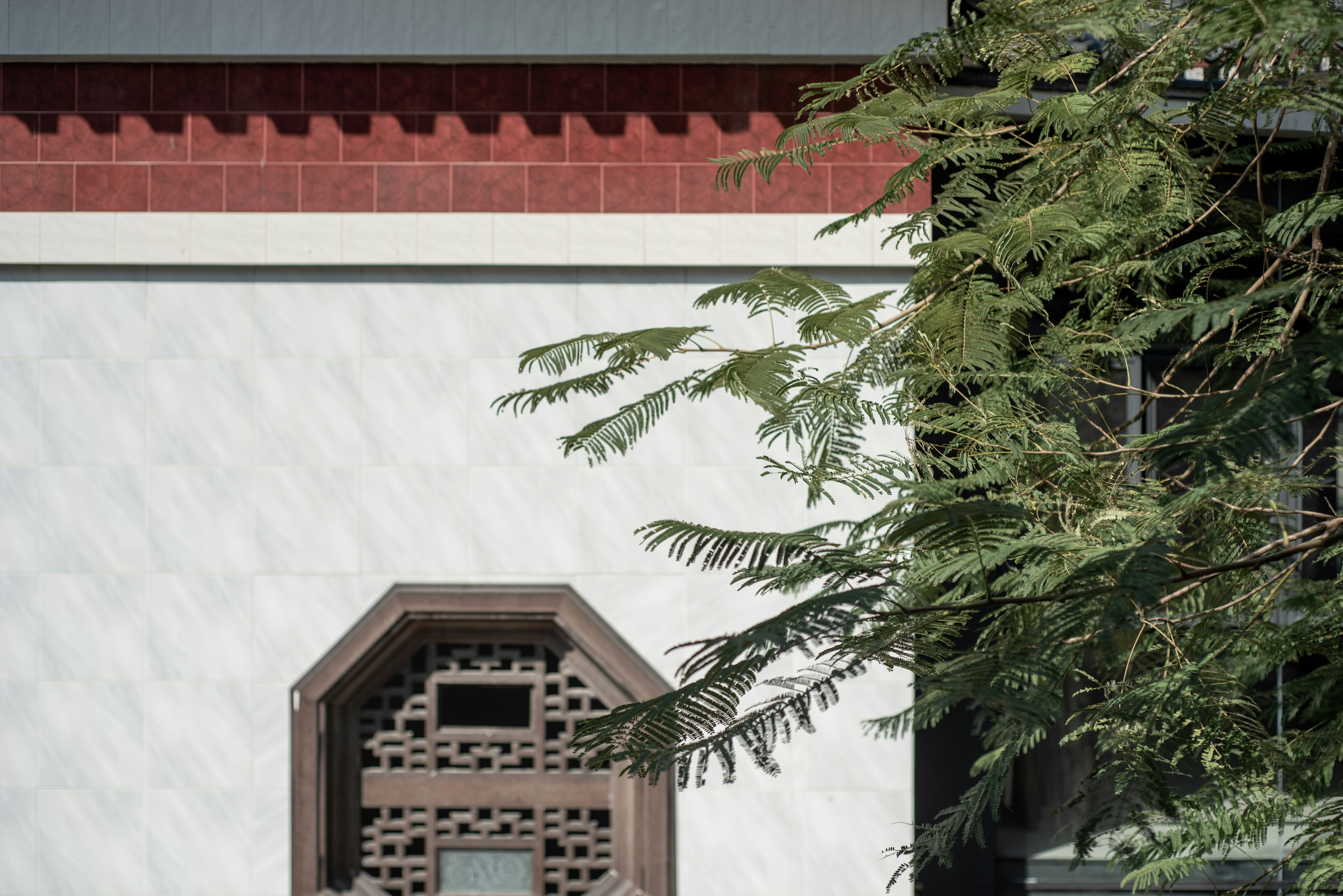 White building facade with a decorative window and green foliage.