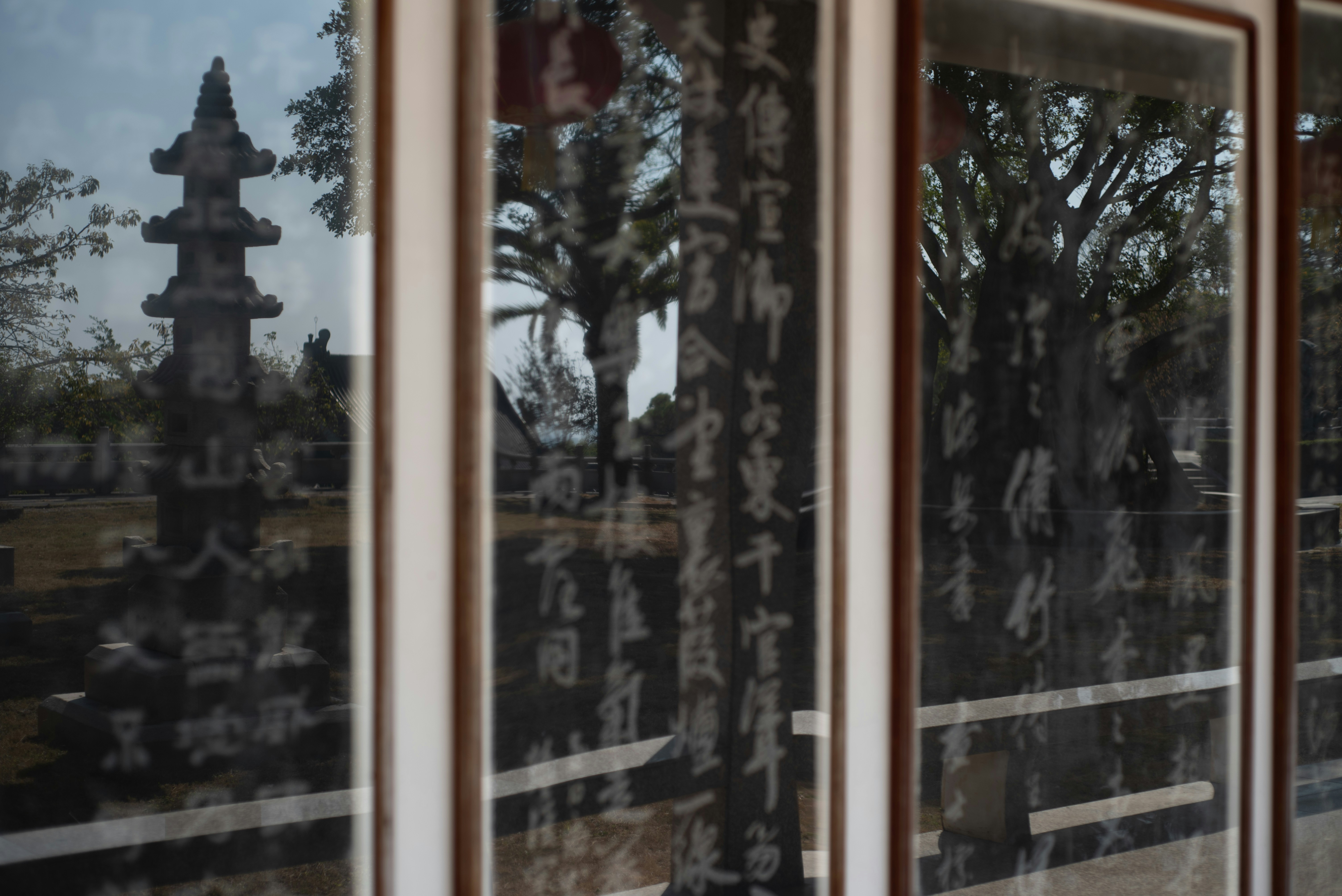 Photo by littlegabriel