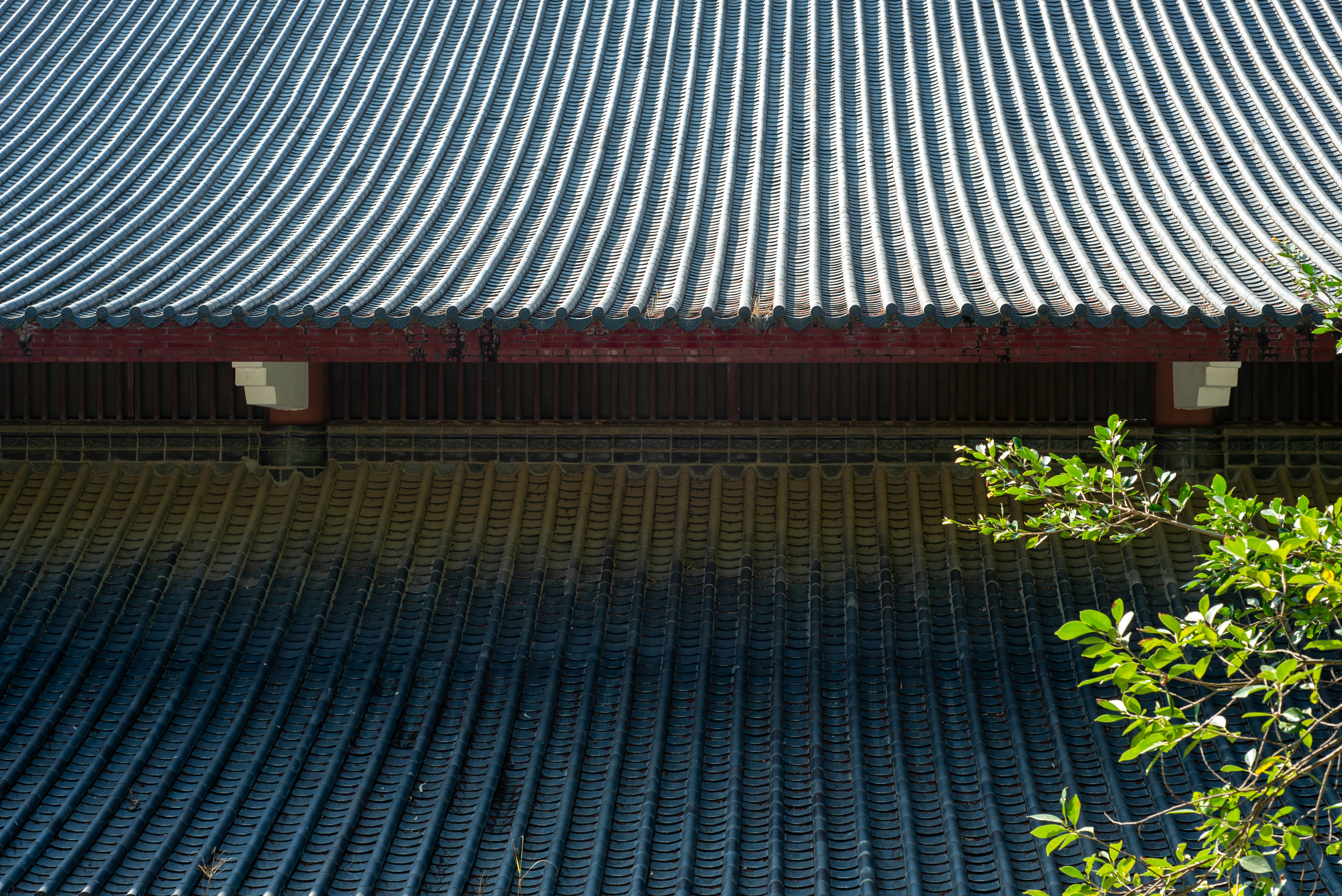 Close-up of a traditional tiled roof with green foliage.