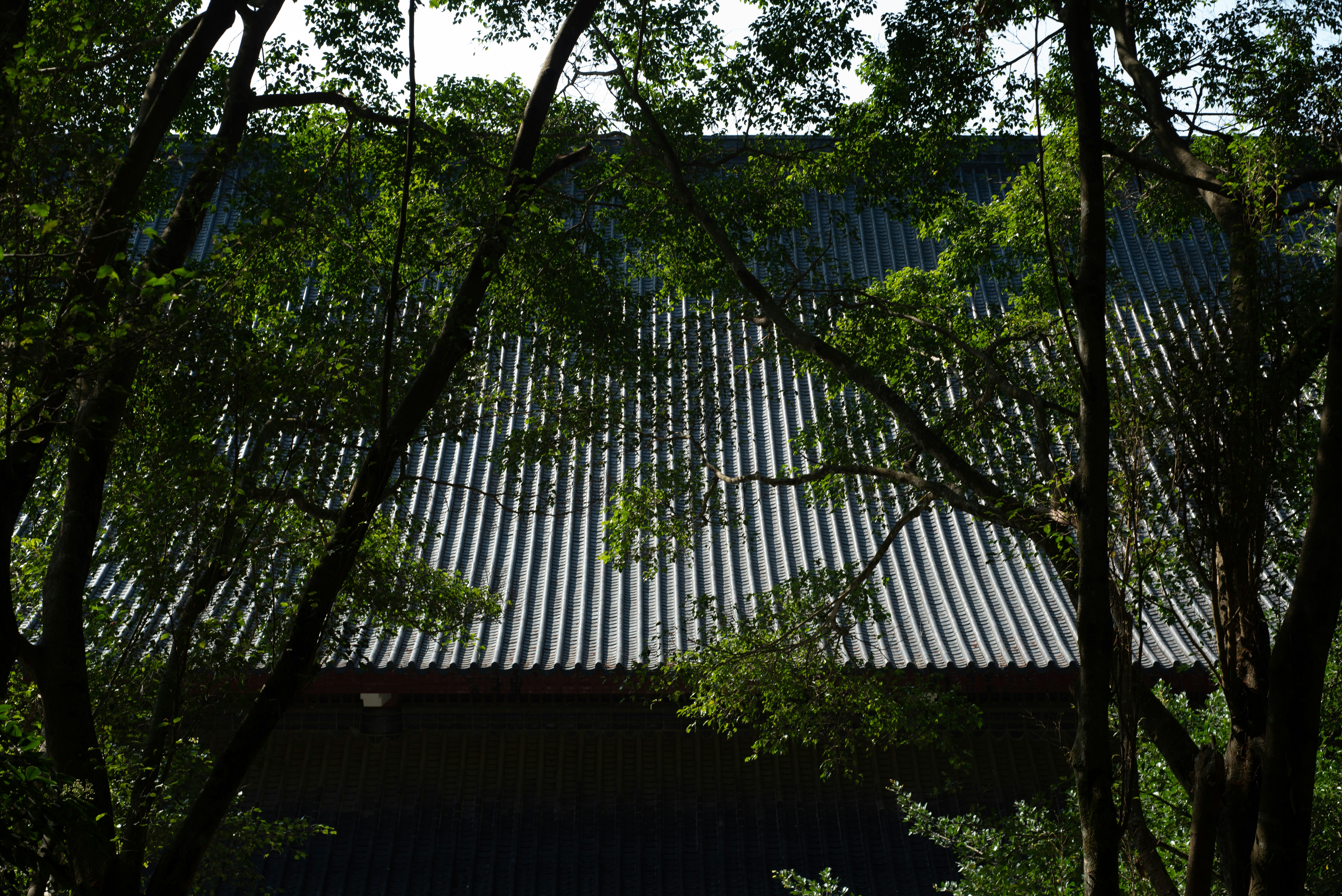 A dark, textured roof peeks through green trees.