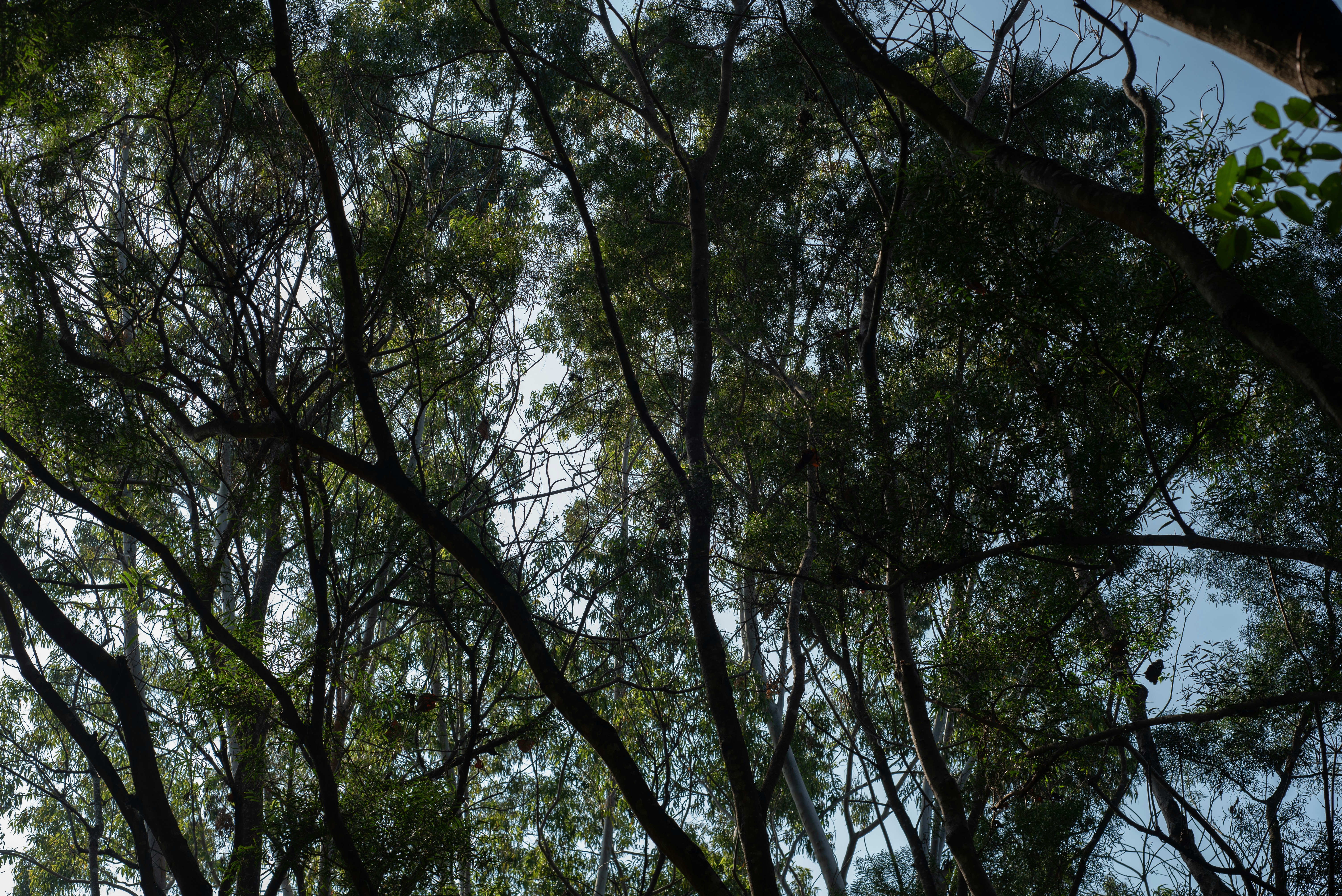 Photo by littlegabriel