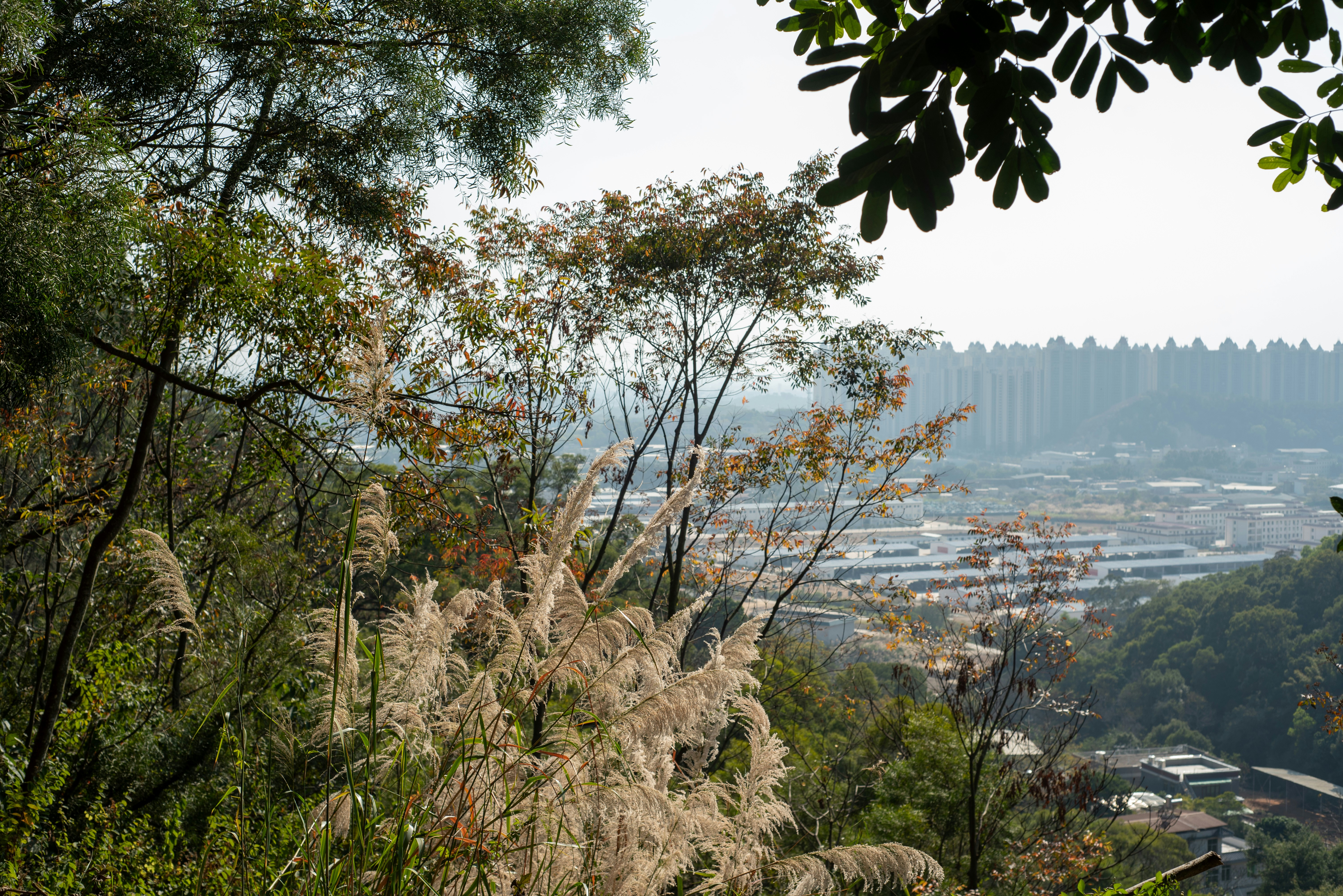 Photo by littlegabriel