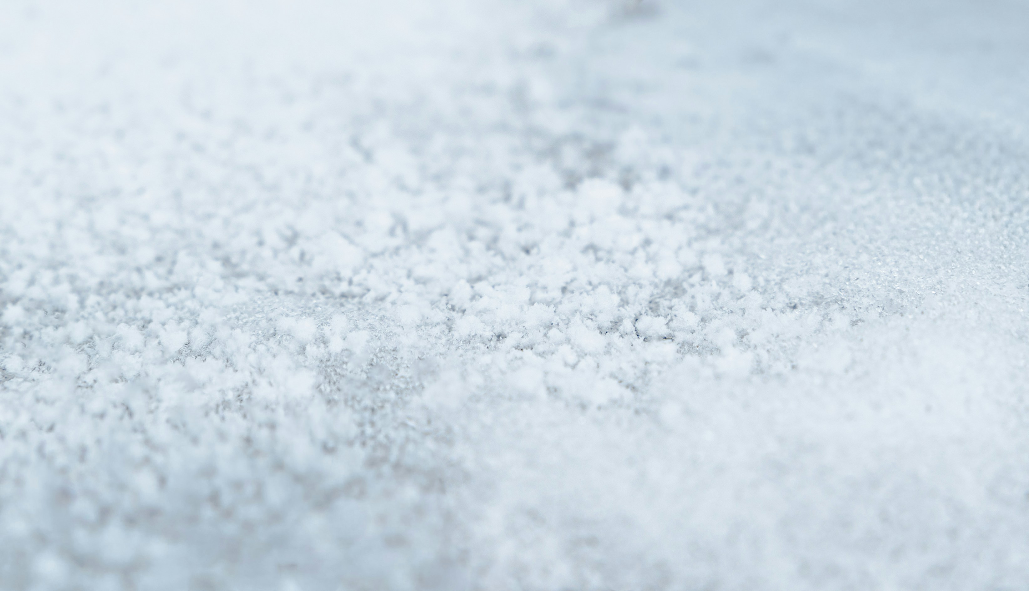 Close-up of white granular salt crystals
