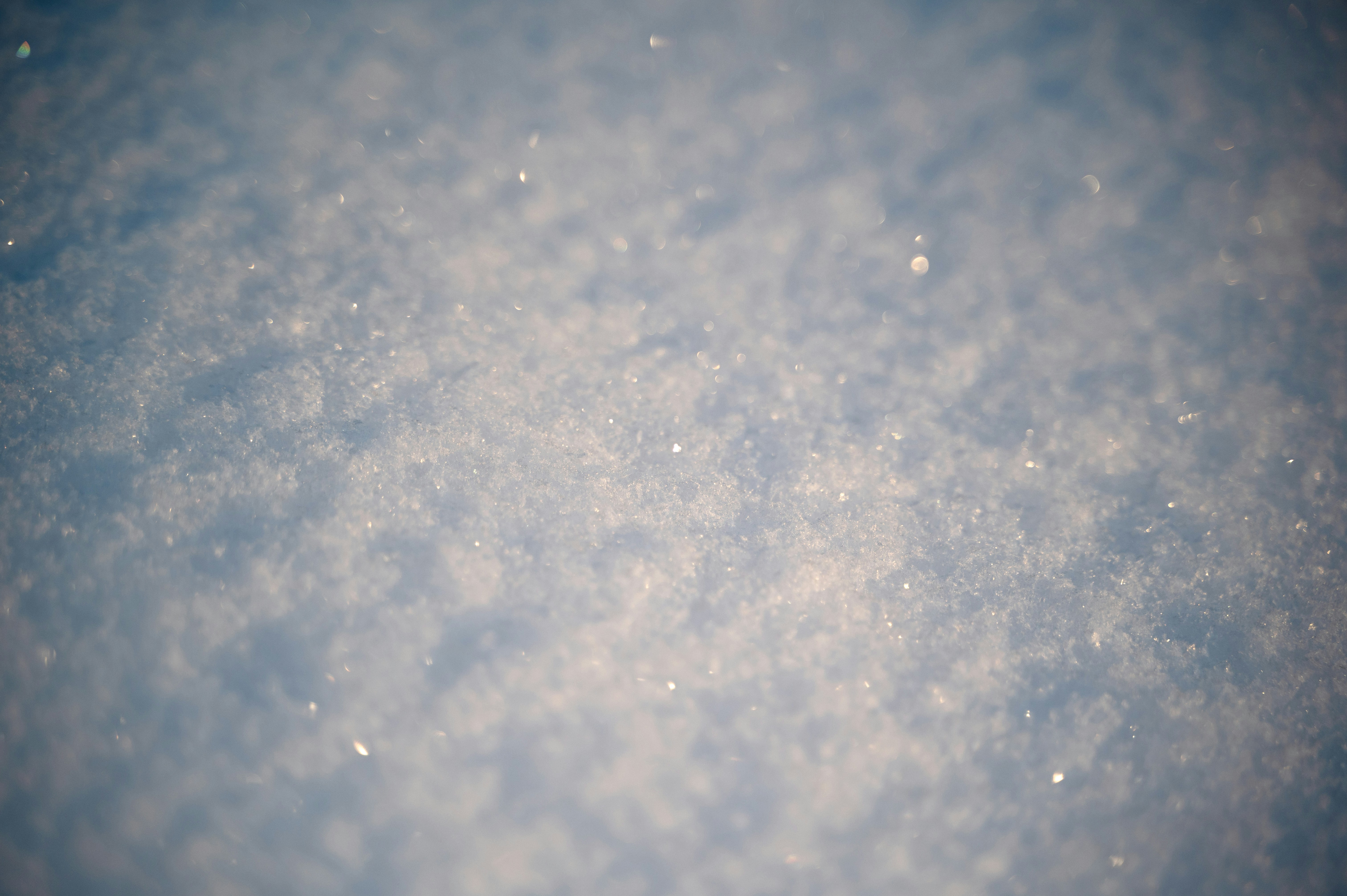 Photo by seitamaaphotography