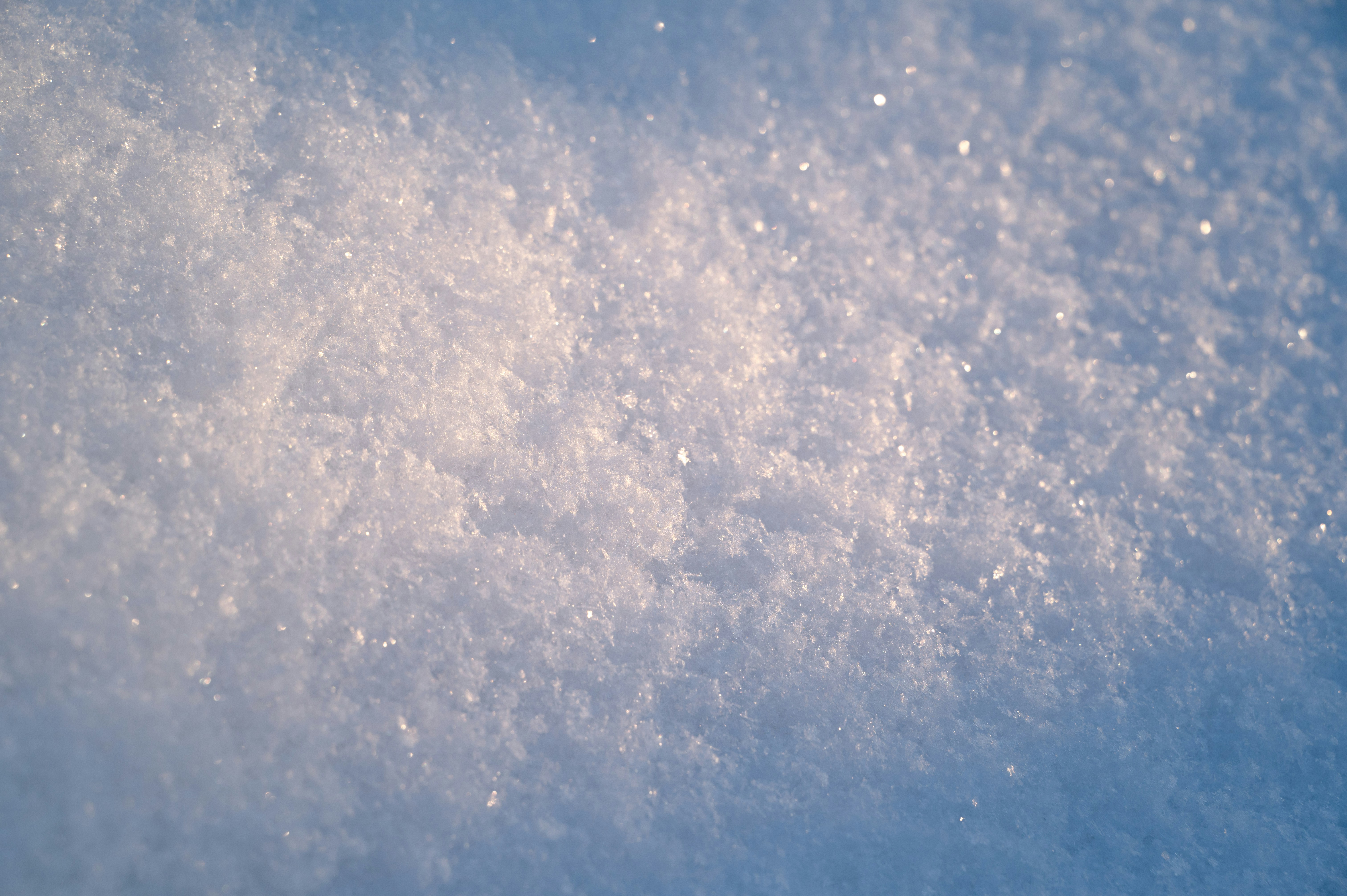 Photo by seitamaaphotography