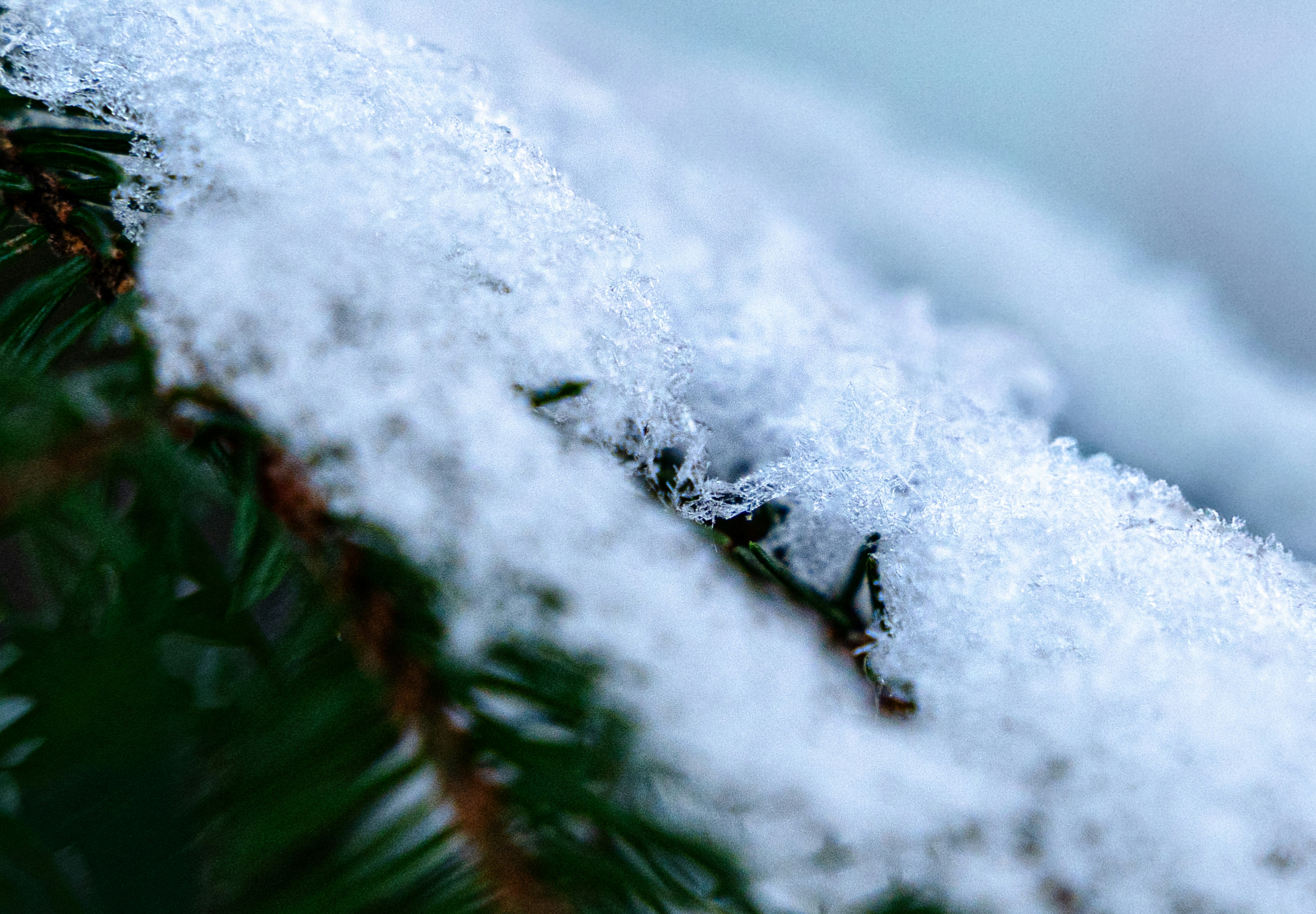 Photo by seitamaaphotography