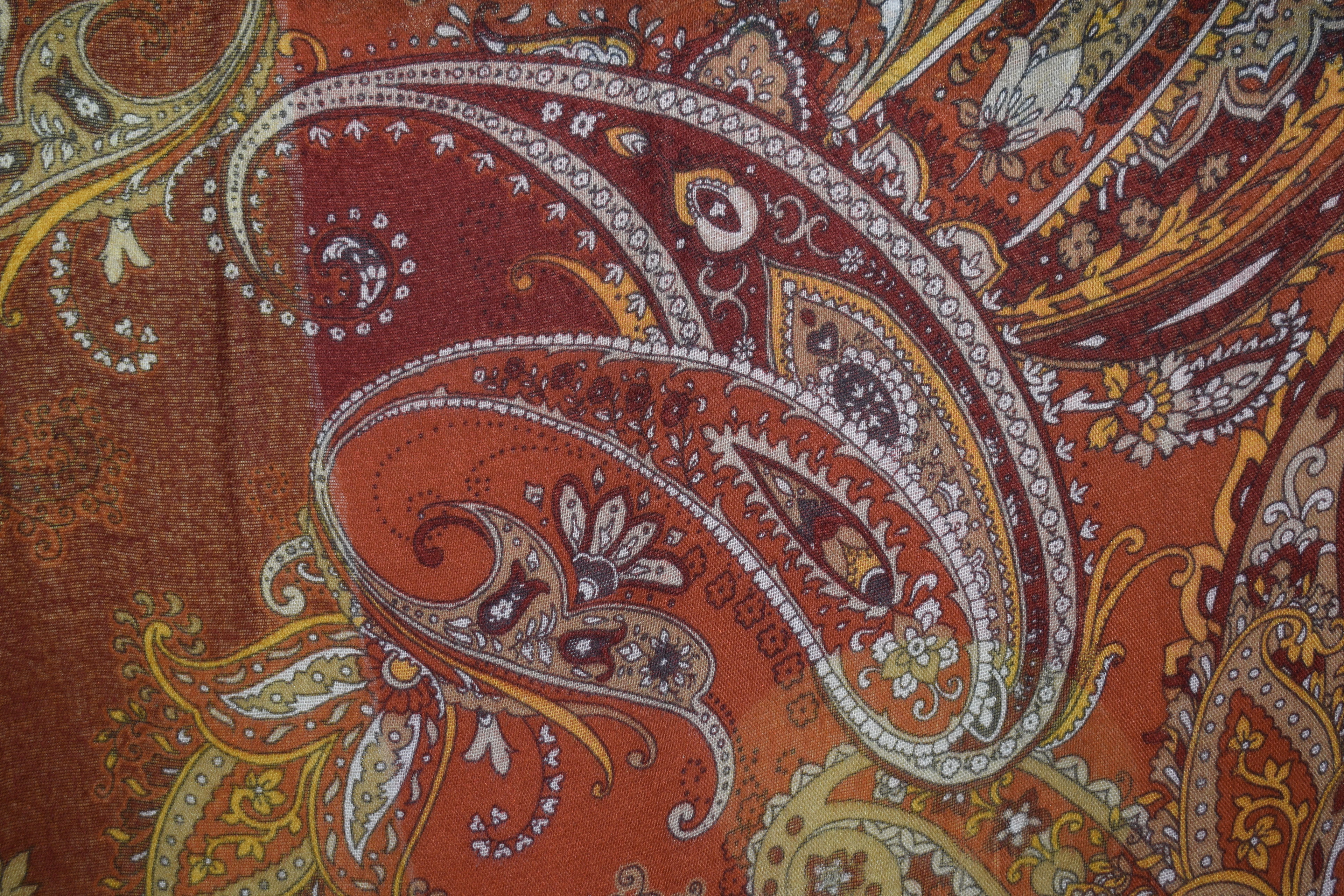 Paisley Reverie by Devika Rao