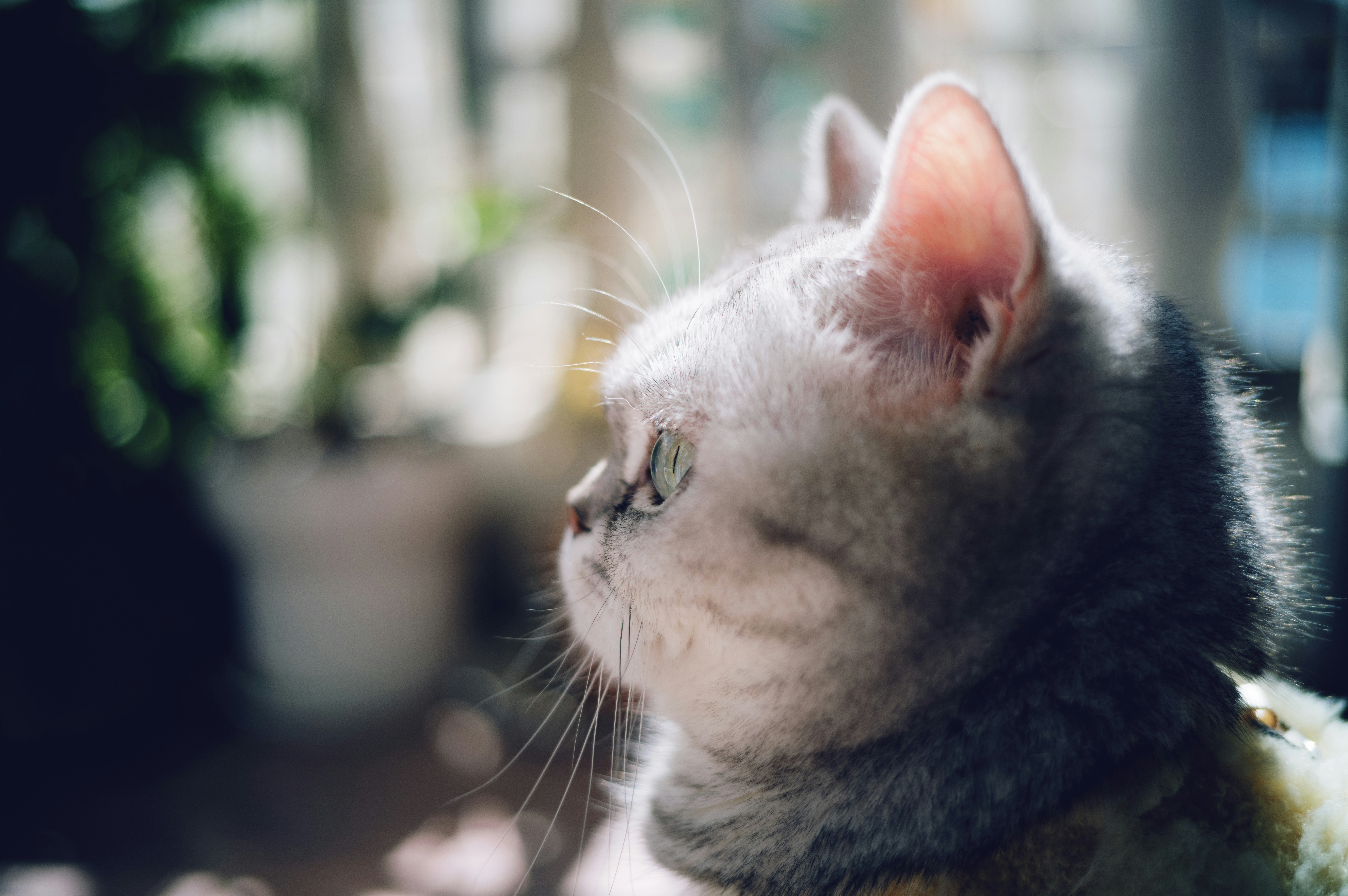 Photo by blackbird_ii