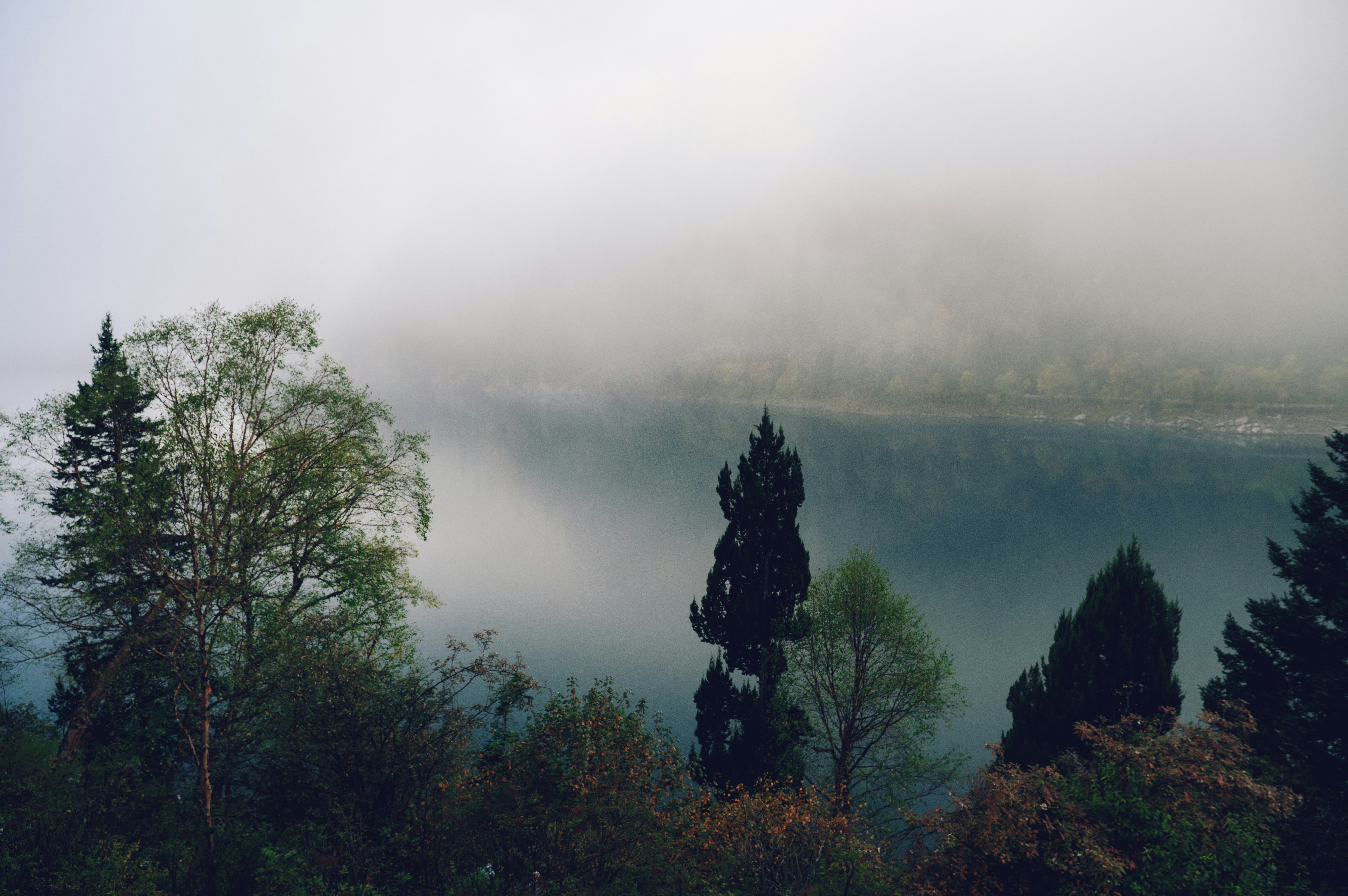 Photo by blackbird_ii