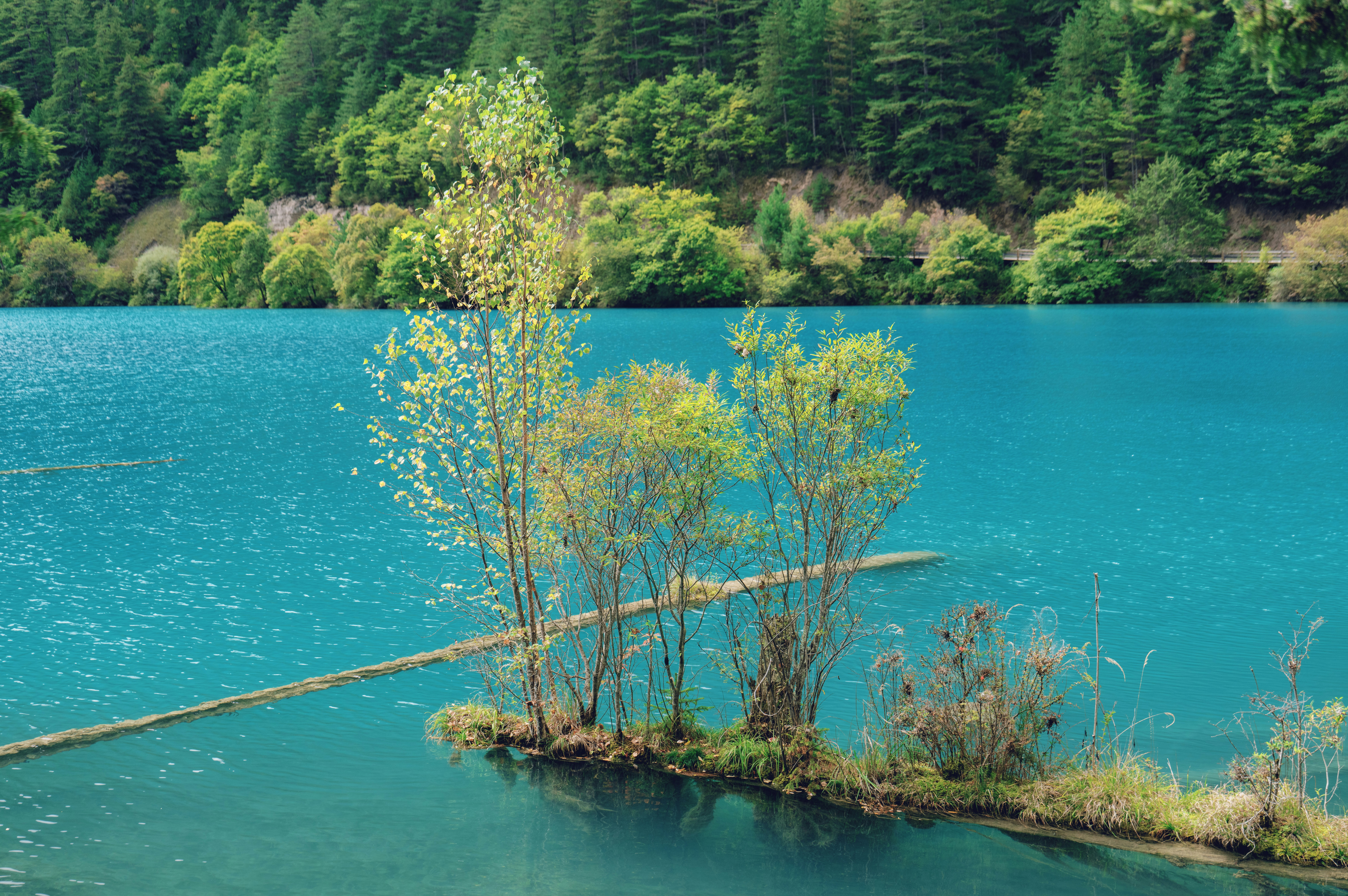 Photo by blackbird_ii