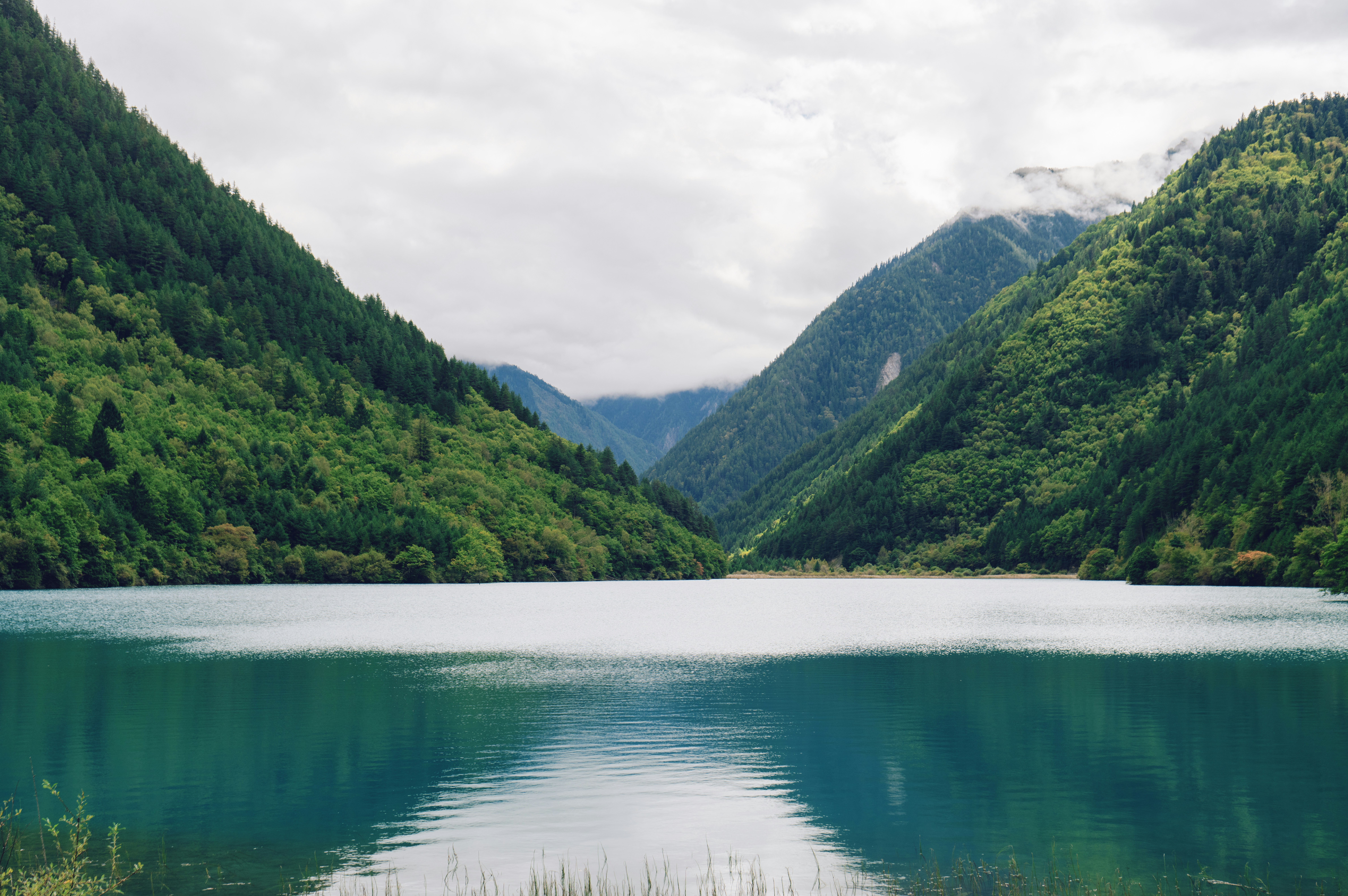 Photo by blackbird_ii