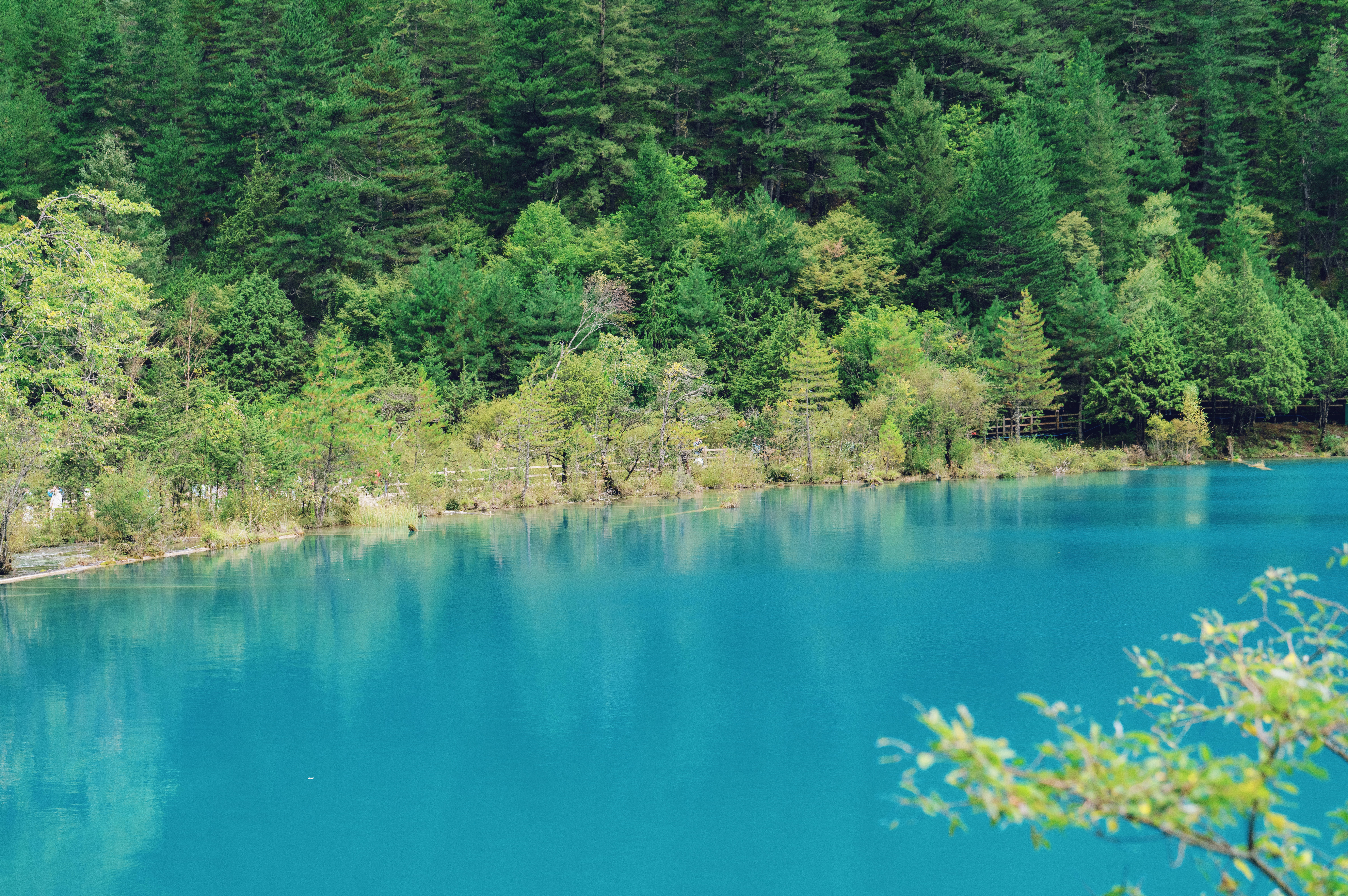 Photo by blackbird_ii