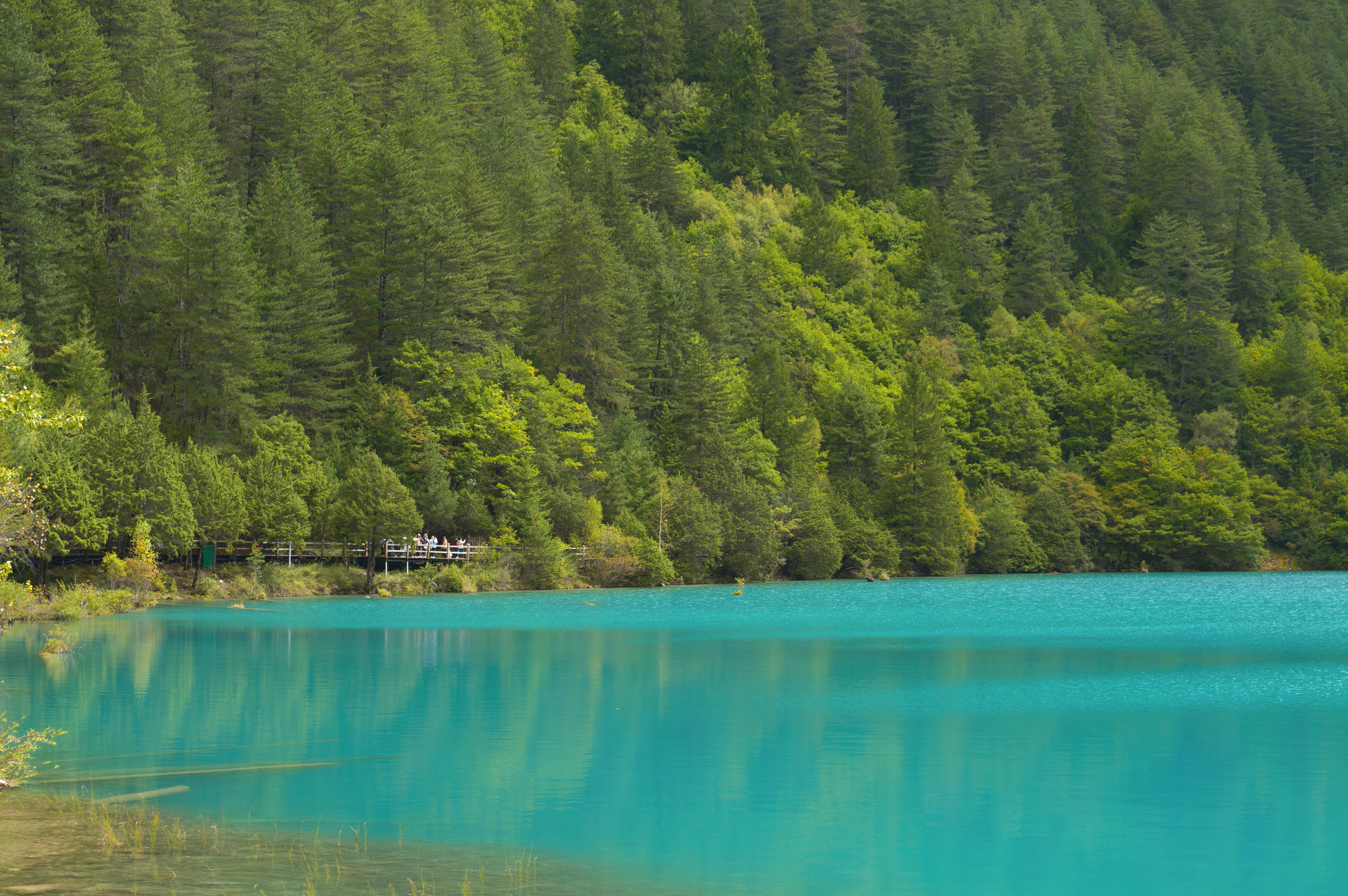 Photo by blackbird_ii