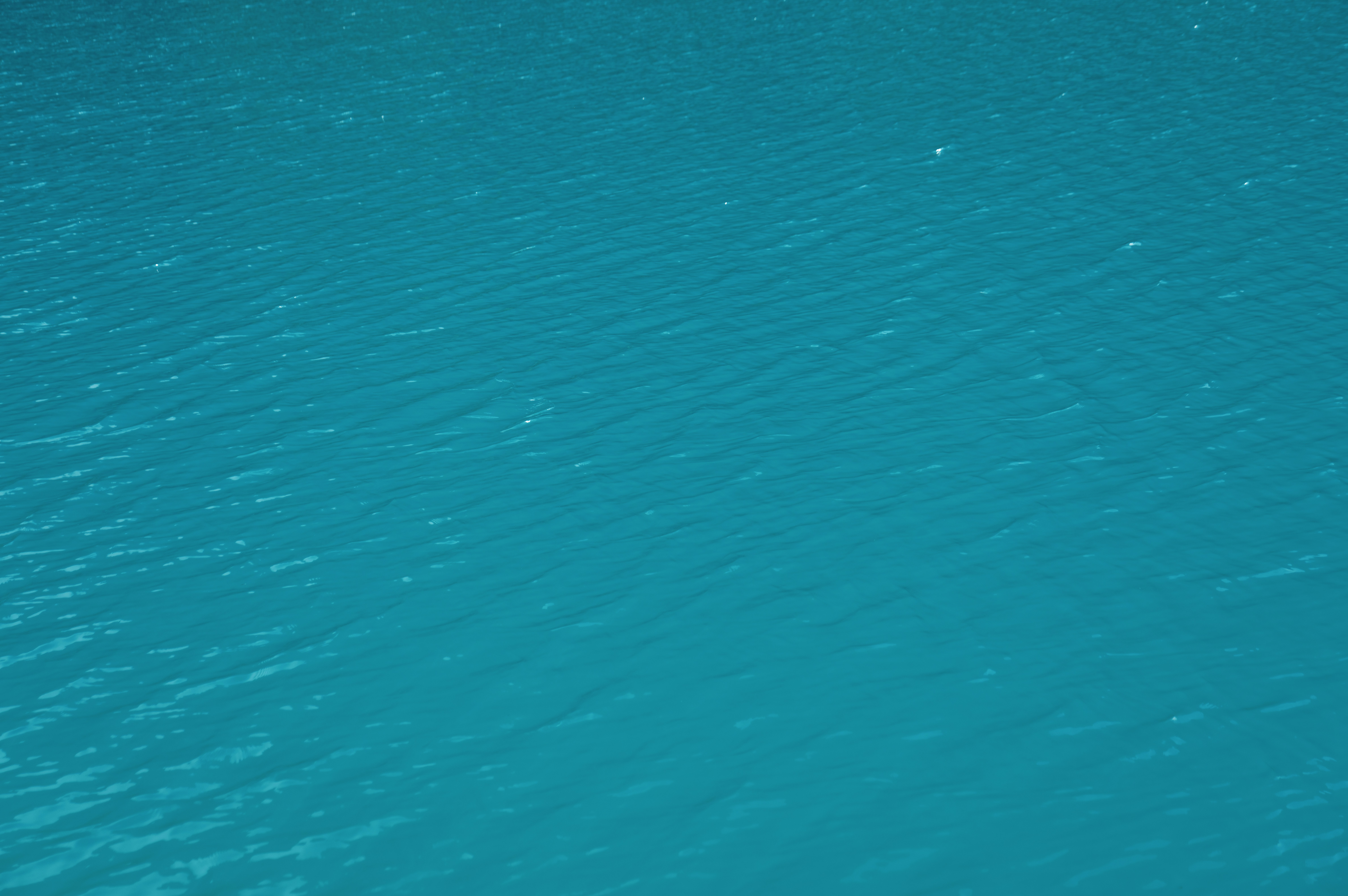 Photo by blackbird_ii