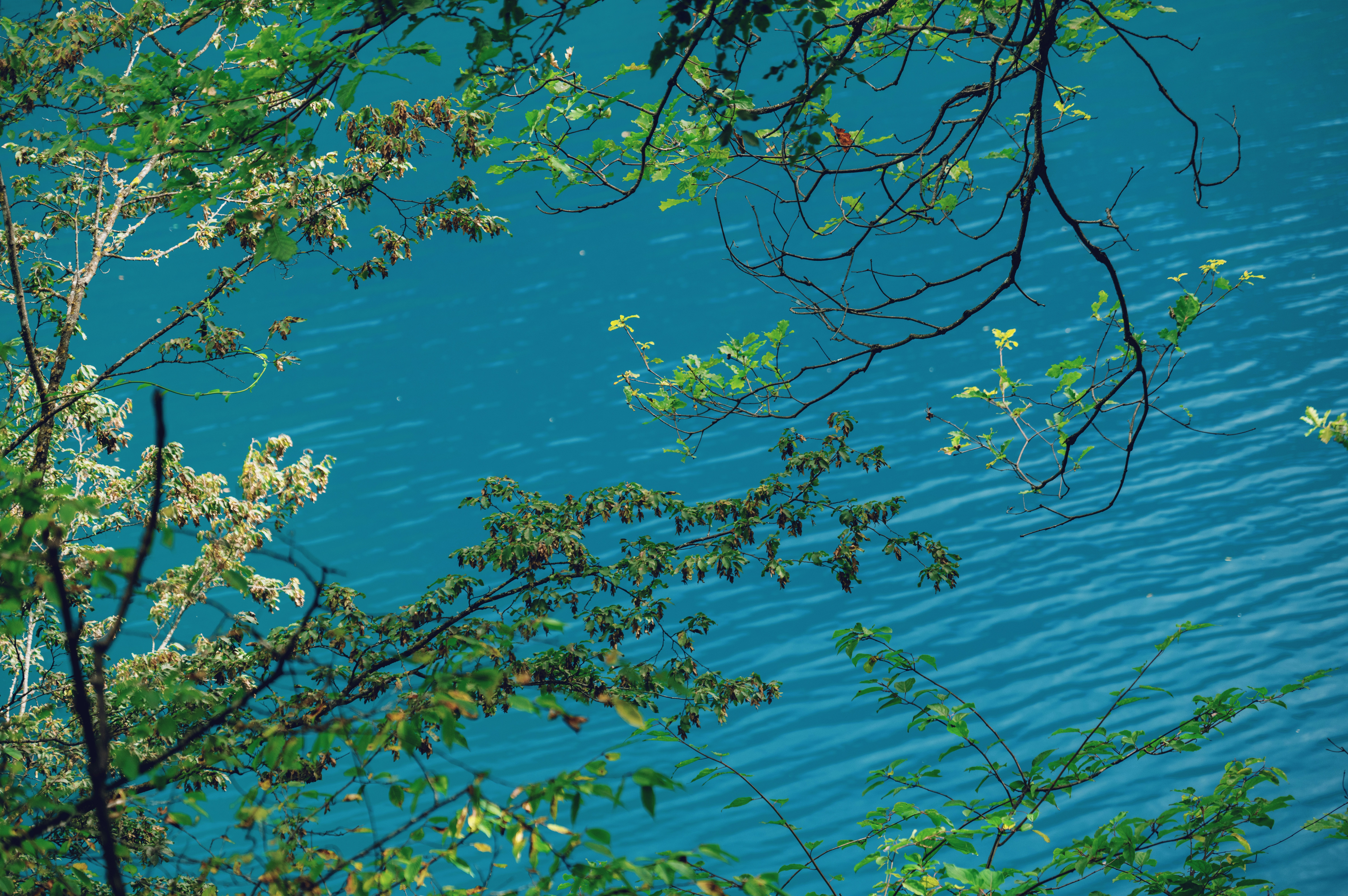 Photo by blackbird_ii