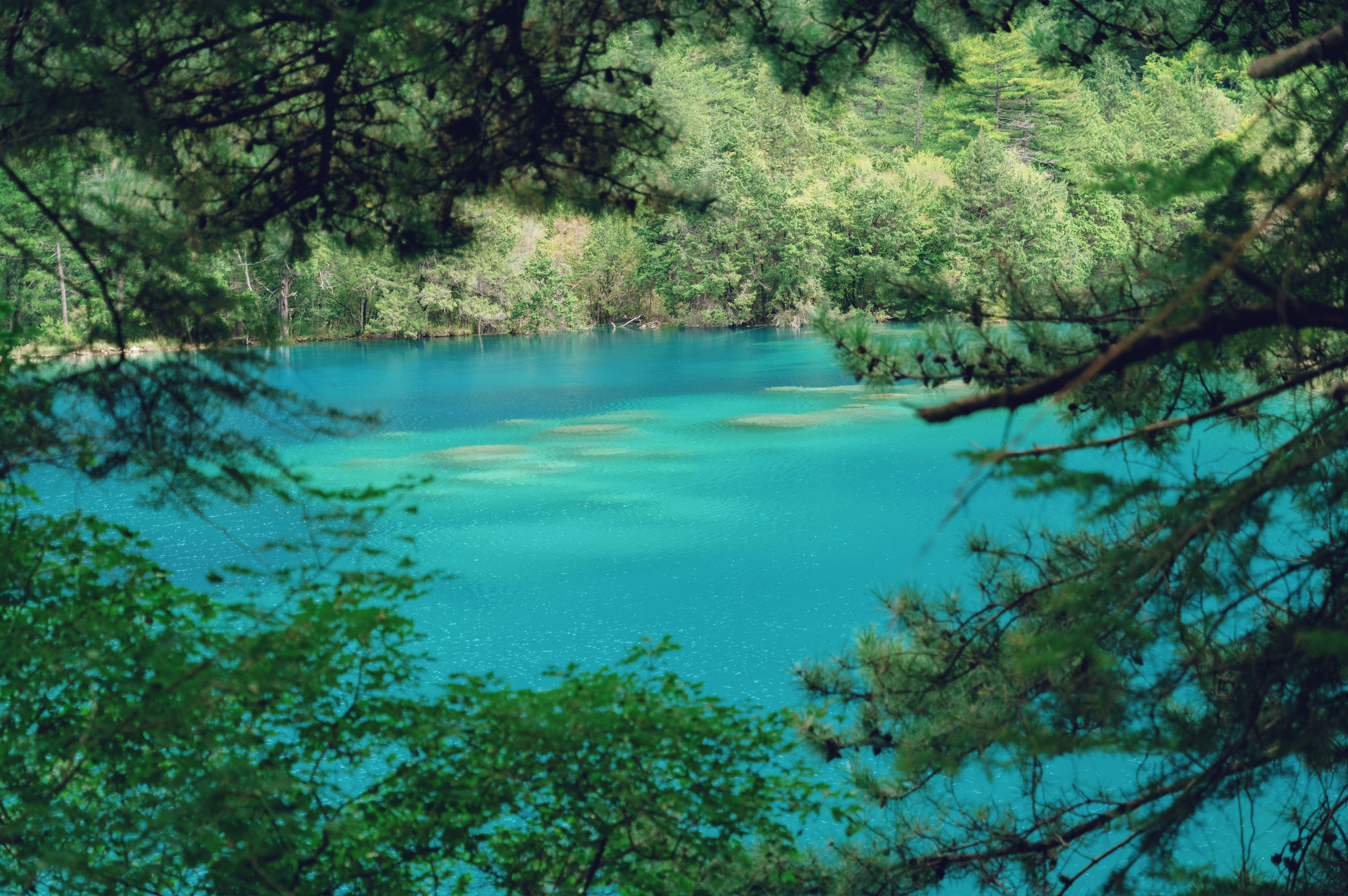 Photo by blackbird_ii