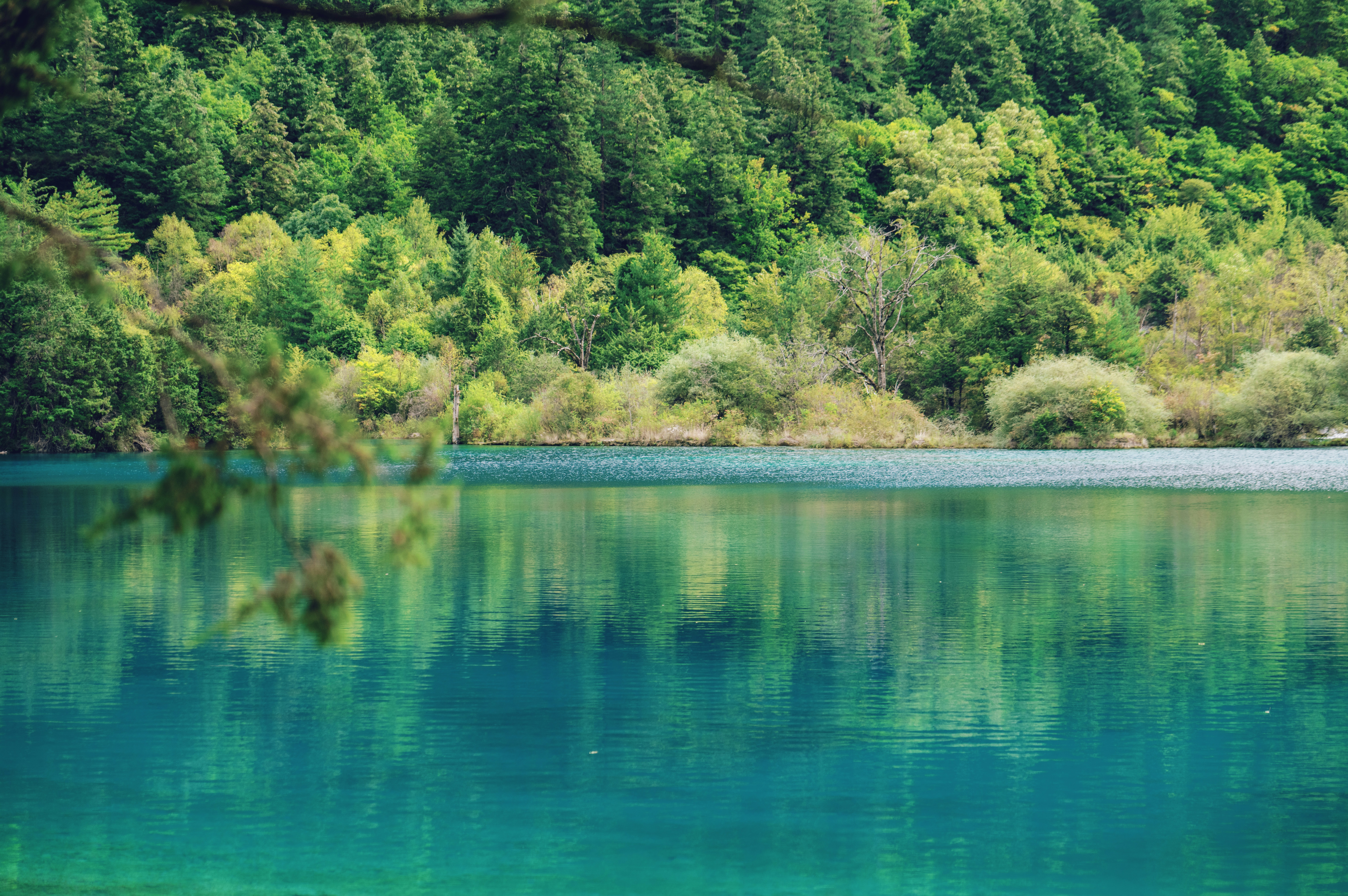 Photo by blackbird_ii